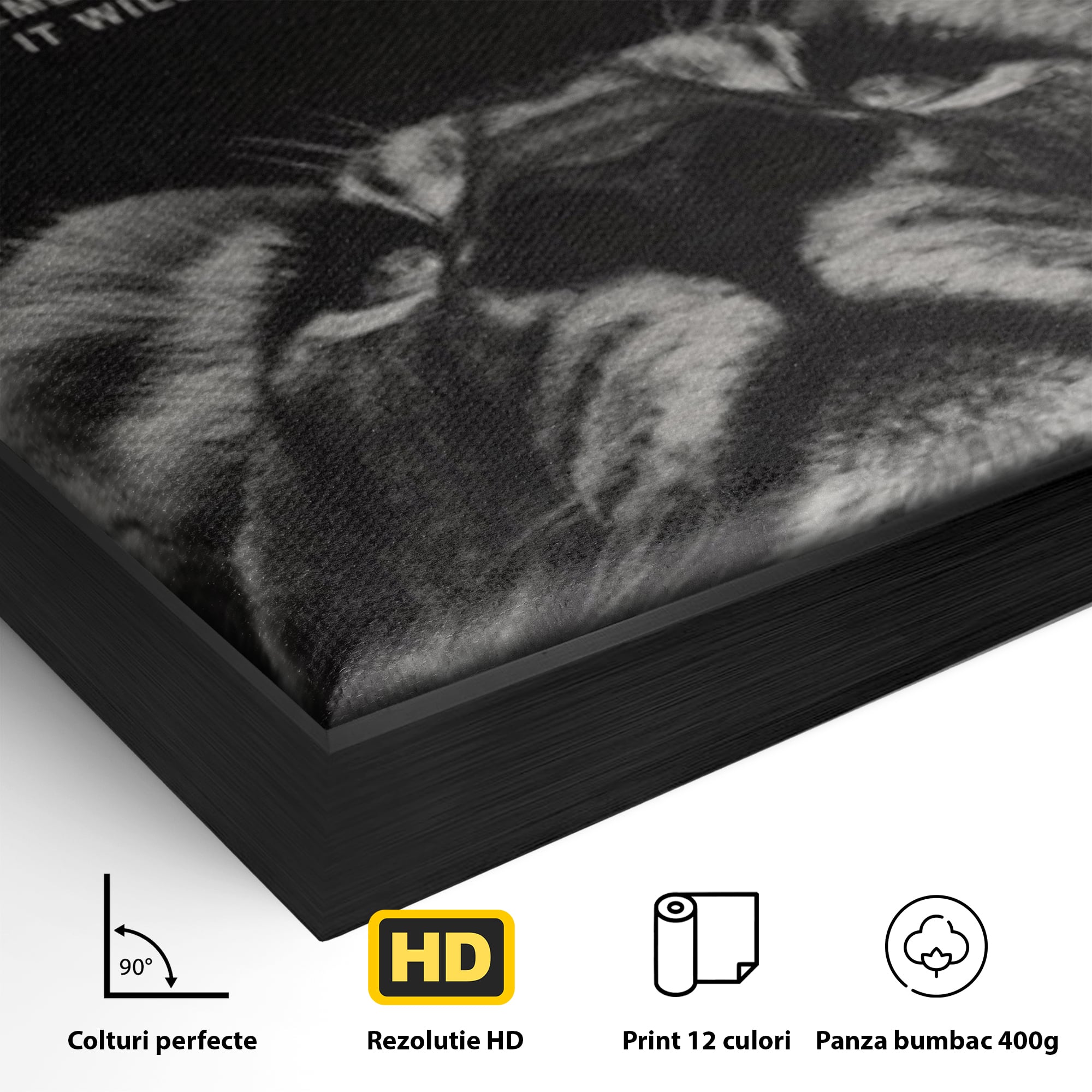 Detaliu al suprafetei: tablou motivational cu cap de leu, in rama de aluminiu negru
