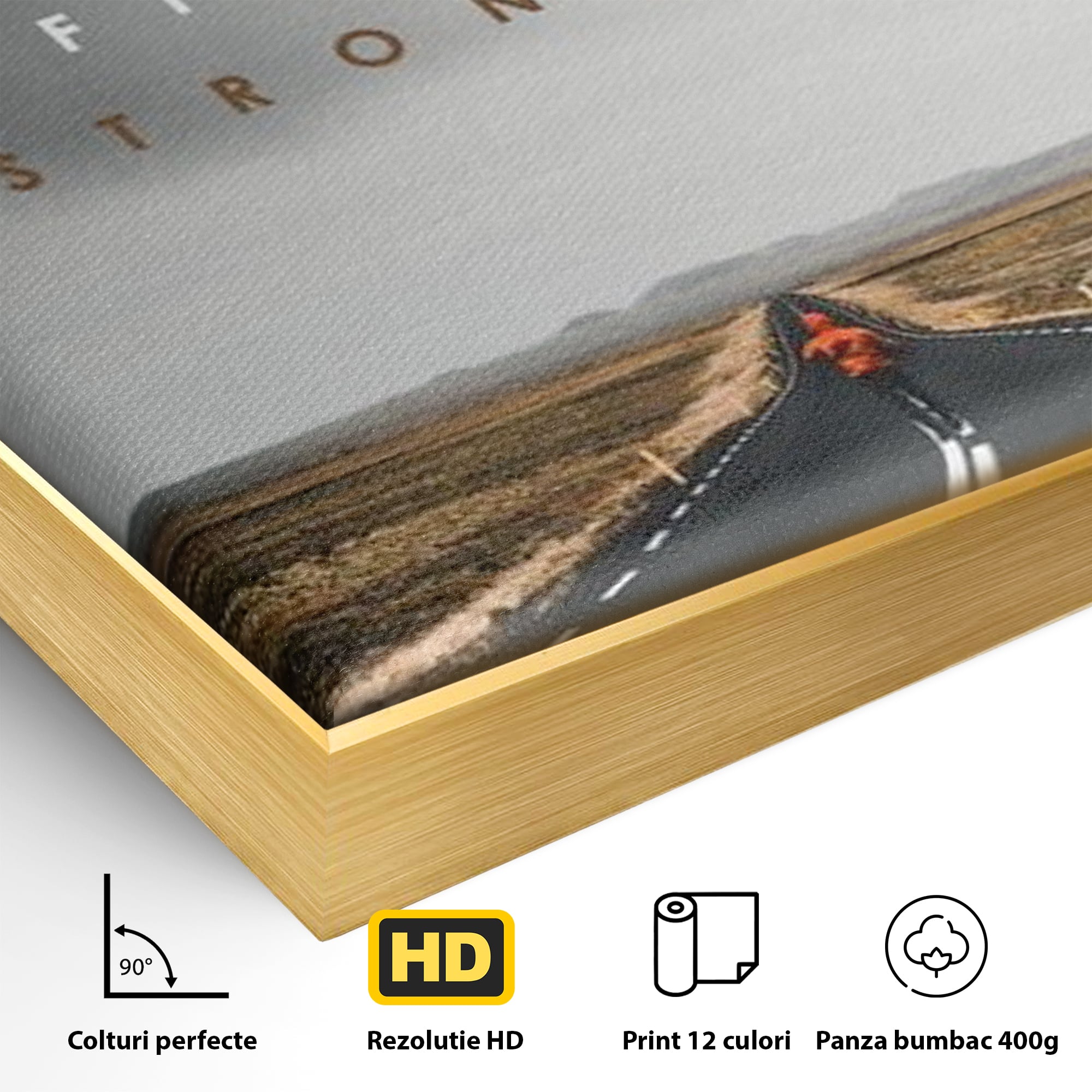Detaliu al suprafetei: tablou canvas cu alergator pe sosea, in rama de aluminiu auriu