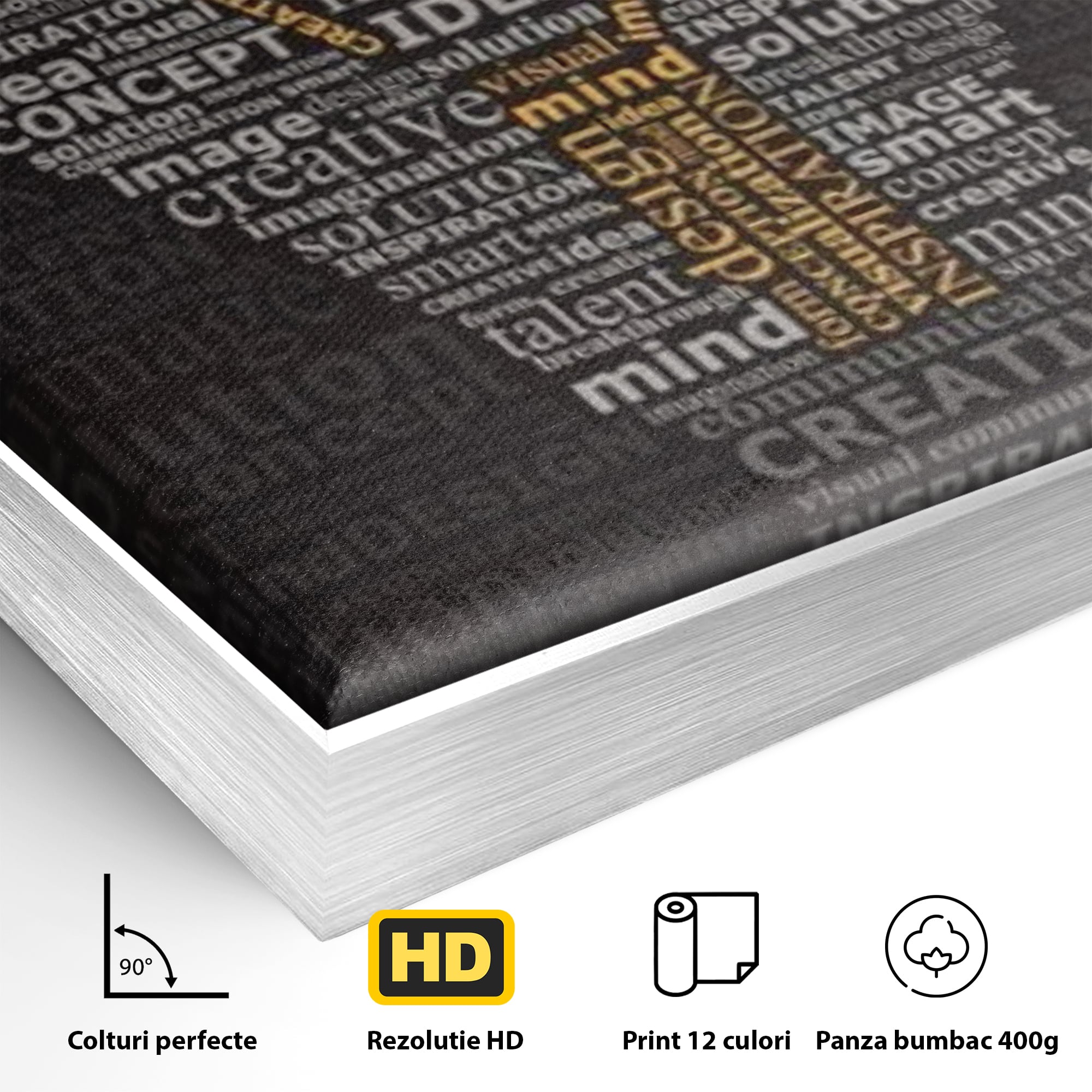 Detaliu al suprafetei: tablou canvas cu silueta de bec formata din cuvinte, in rama de aluminiu argintiu