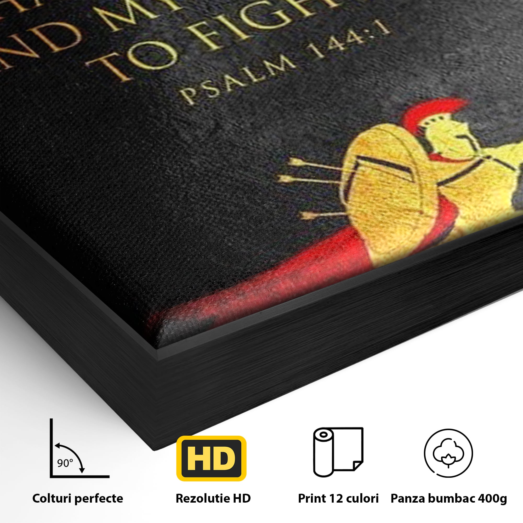Detaliu al suprafetei: tablou canvas cu razboinic antic si verset, in rama de aluminiu negru