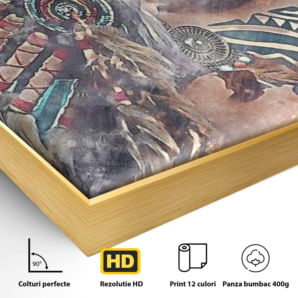 Detaliu al suprafetei: tablou canvas cu femeie indigena, in rama de aluminiu auriu