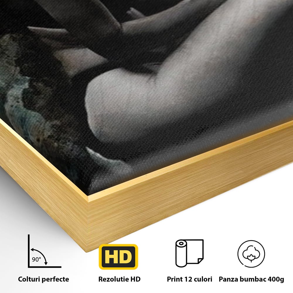 Detaliu al suprafetei: tablou canvas cu silueta feminina, in rama de aluminiu auriu