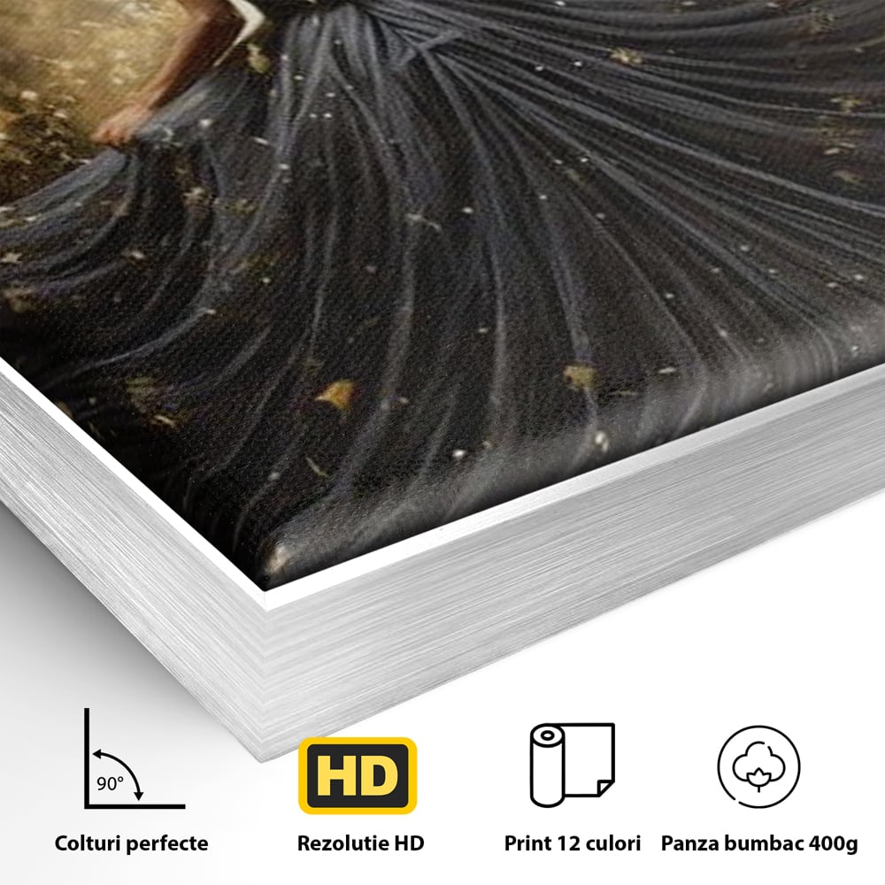 Detaliu al suprafetei: ilustratie digitala cu silueta feminina, in rama de aluminiu argintiu