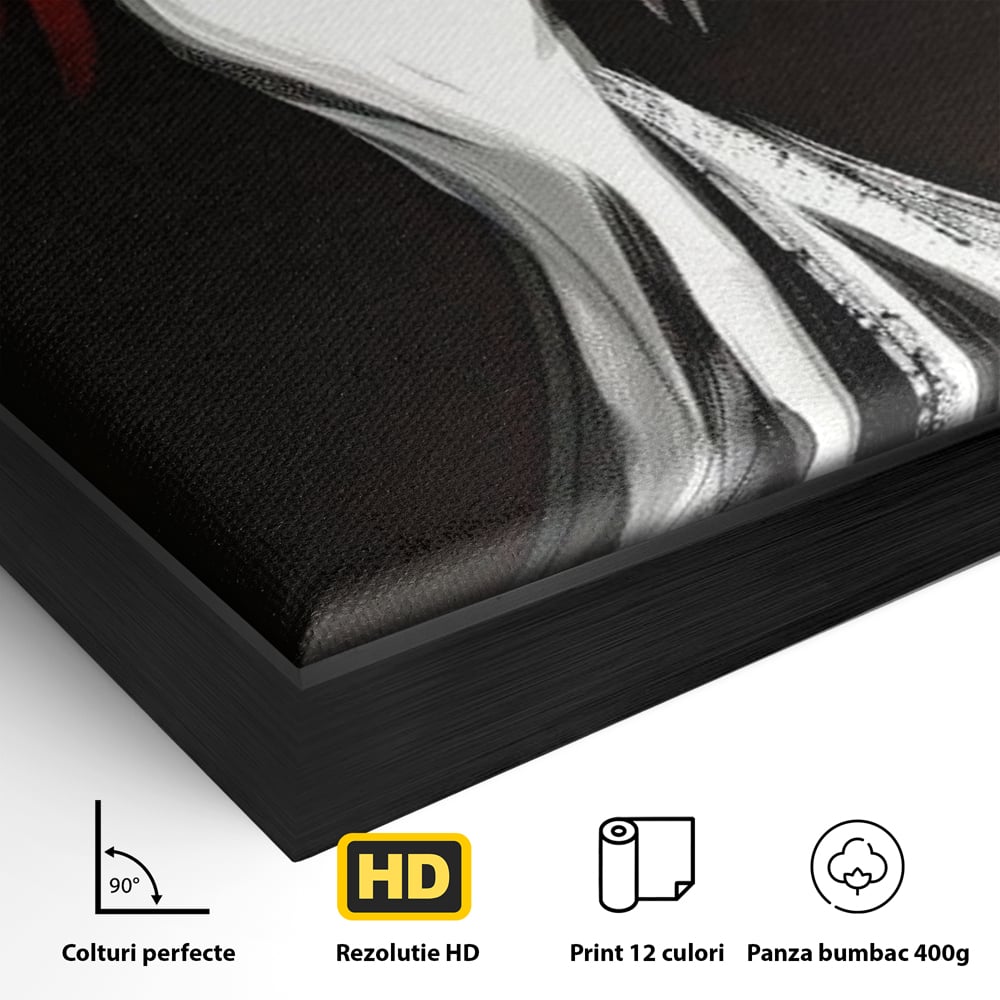 Detaliu al suprafetei: tablou canvas cu silueta de femeie in rochie alba, in rama de aluminiu negru