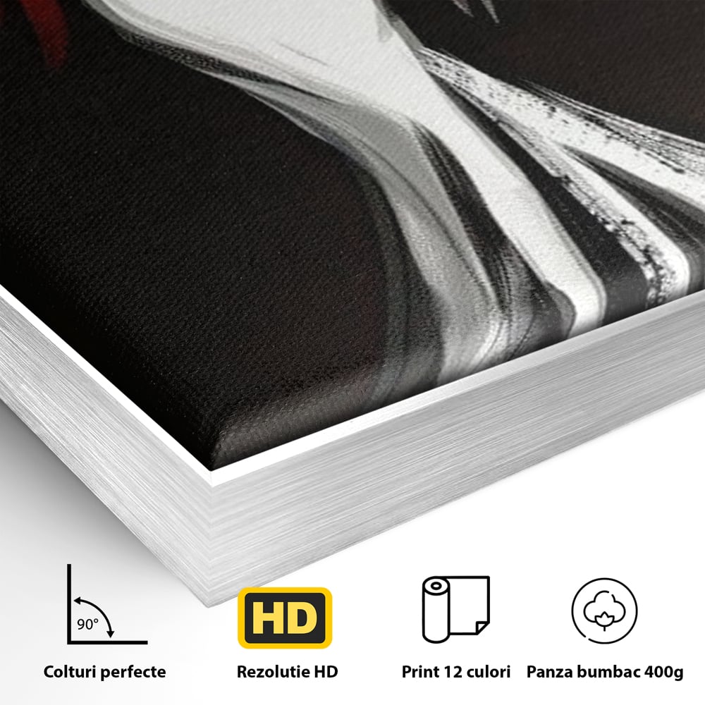 Detaliu al suprafetei: tablou canvas cu silueta de femeie in rochie alba, in rama de aluminiu argintiu
