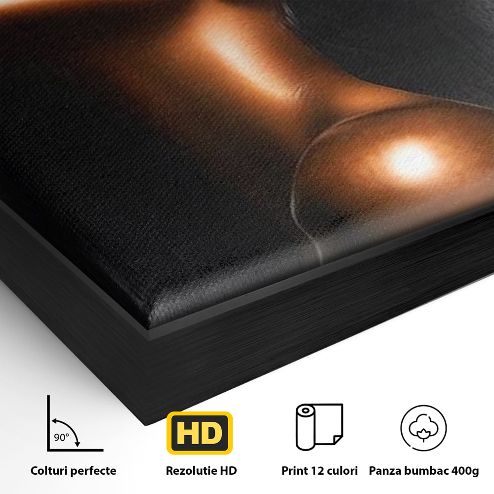 Detaliu al suprafetei: tablou canvas cu portretul unei femei, in rama de aluminiu negru