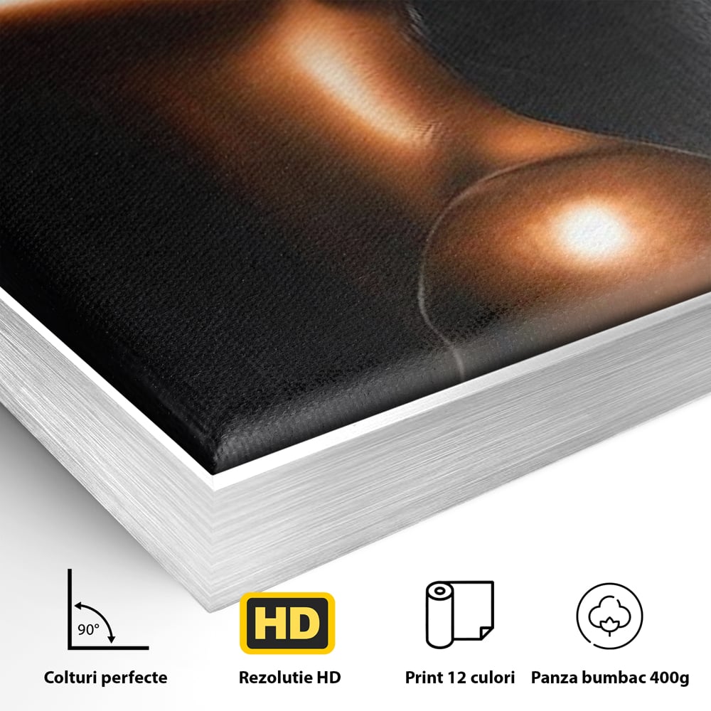 Detaliu al suprafetei: tablou canvas cu portretul unei femei, in rama de aluminiu argintiu