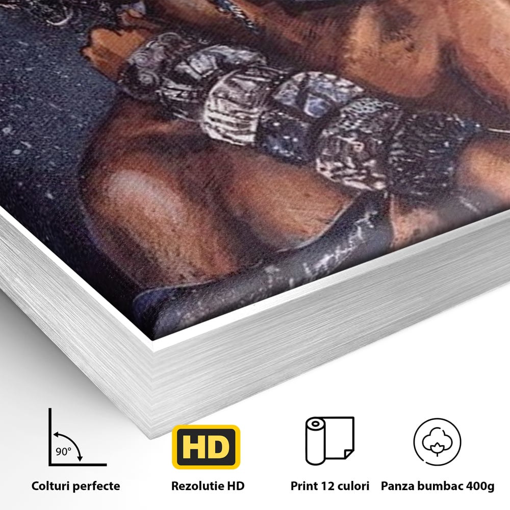 Detaliu al suprafetei: tablou canvas cu portret de femeie africana, in rama de aluminiu argintiu