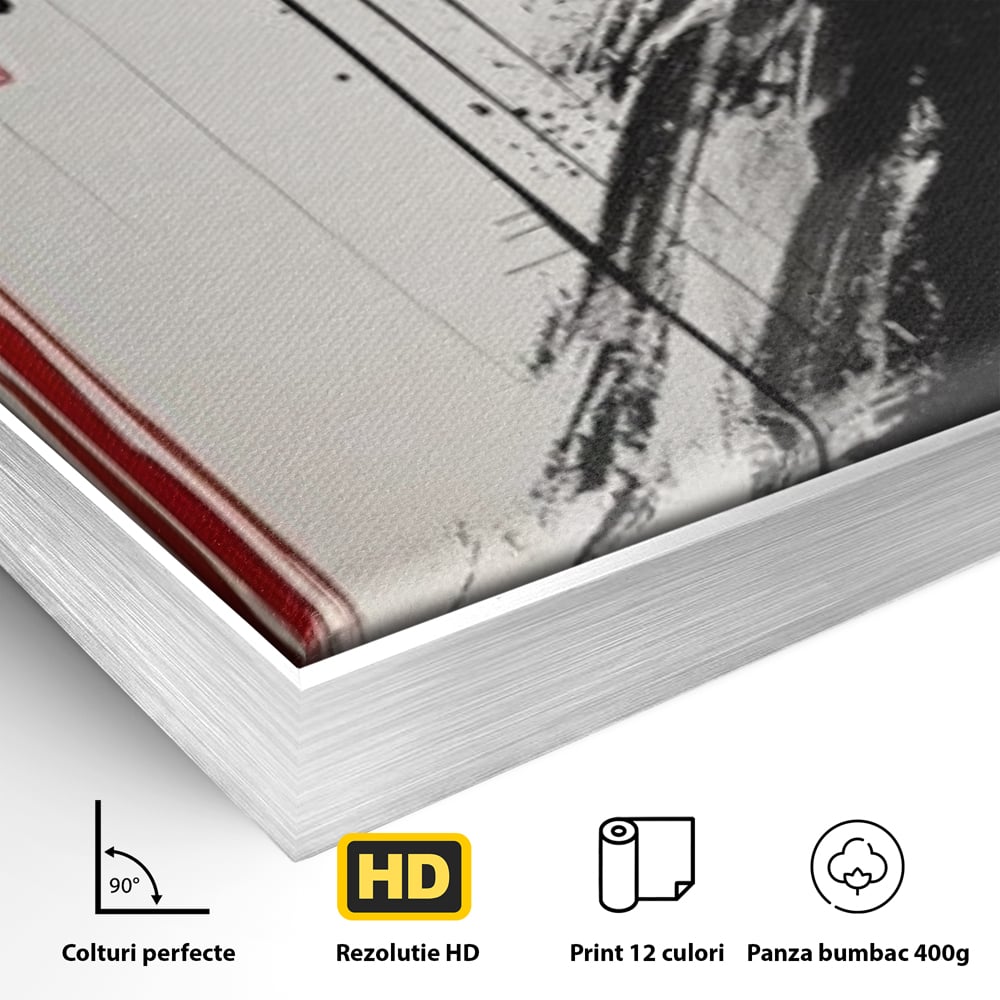 Detaliu al suprafetei: tablou vertical cu gheisa in tus, in rama de aluminiu argintiu