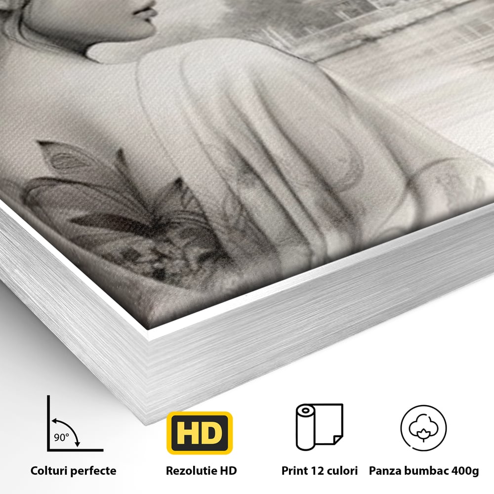 Detaliu al suprafetei: tablou canvas cu gheisa si pagoda, in rama de aluminiu argintiu