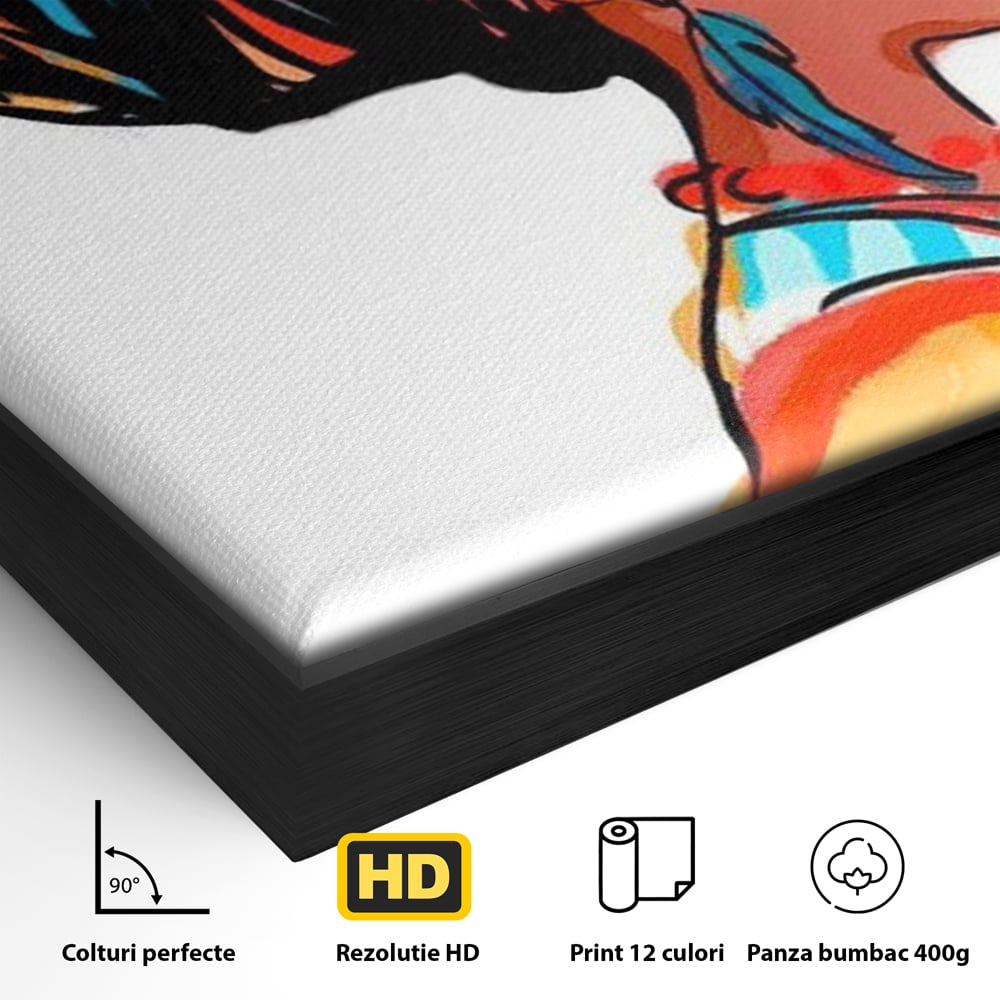 Detaliu al suprafetei: ilustratie digitala cu profil de femeie, in rama de aluminiu negru
