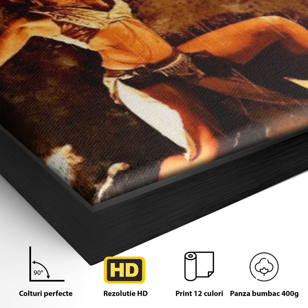 Detaliu al suprafetei: tablou canvas cu dansatoare de foc, in rama de aluminiu negru