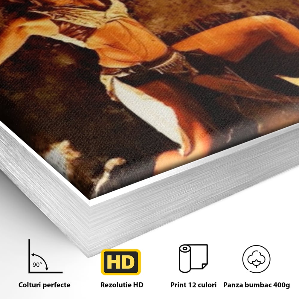 Detaliu al suprafetei: tablou canvas cu dansatoare de foc, in rama de aluminiu argintiu