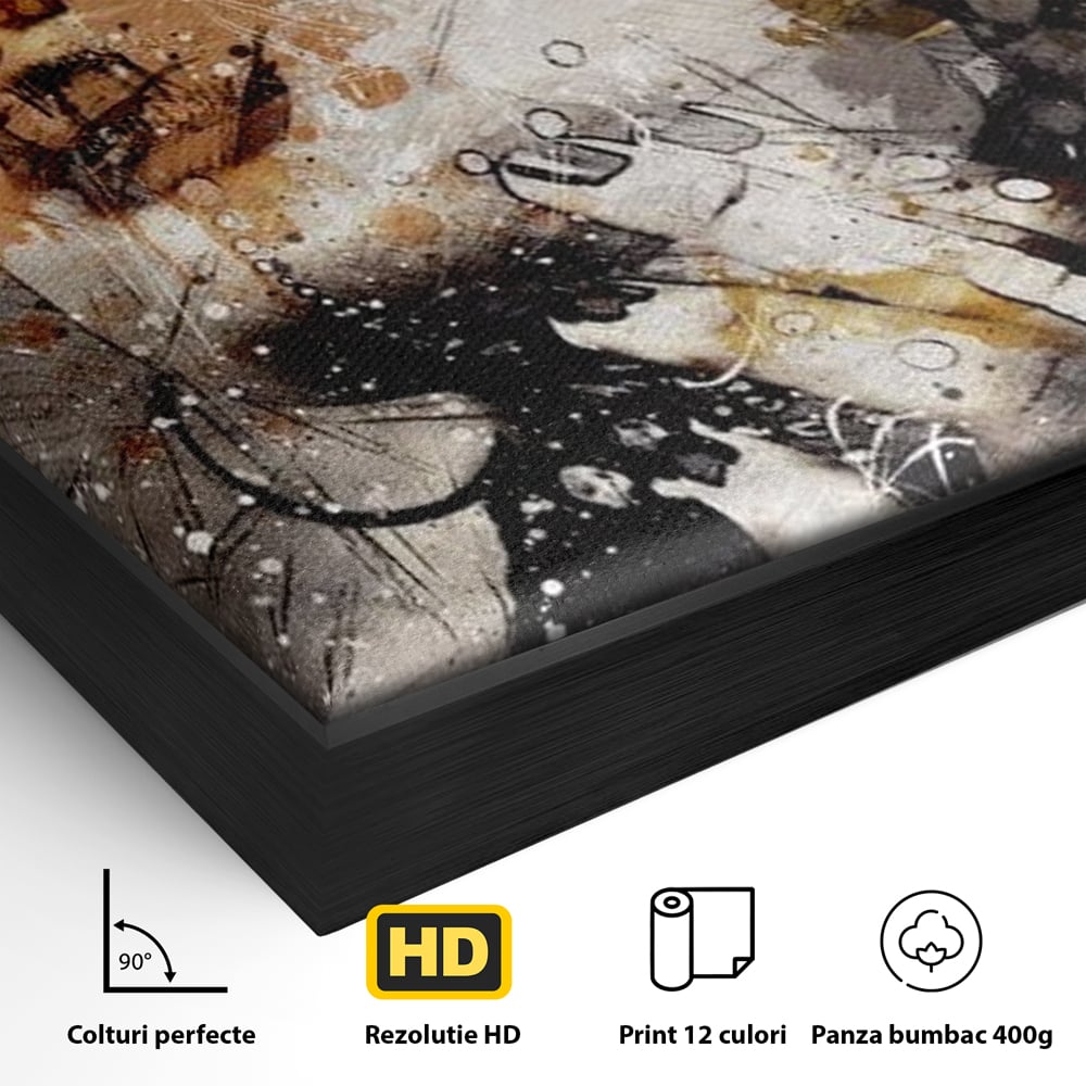 Detaliu al suprafetei: tablou canvas cu portret abstract feminin, in rama de aluminiu negru