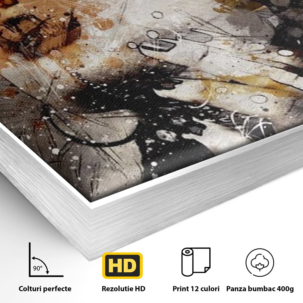 Detaliu al suprafetei: tablou canvas cu portret abstract feminin, in rama de aluminiu argintiu