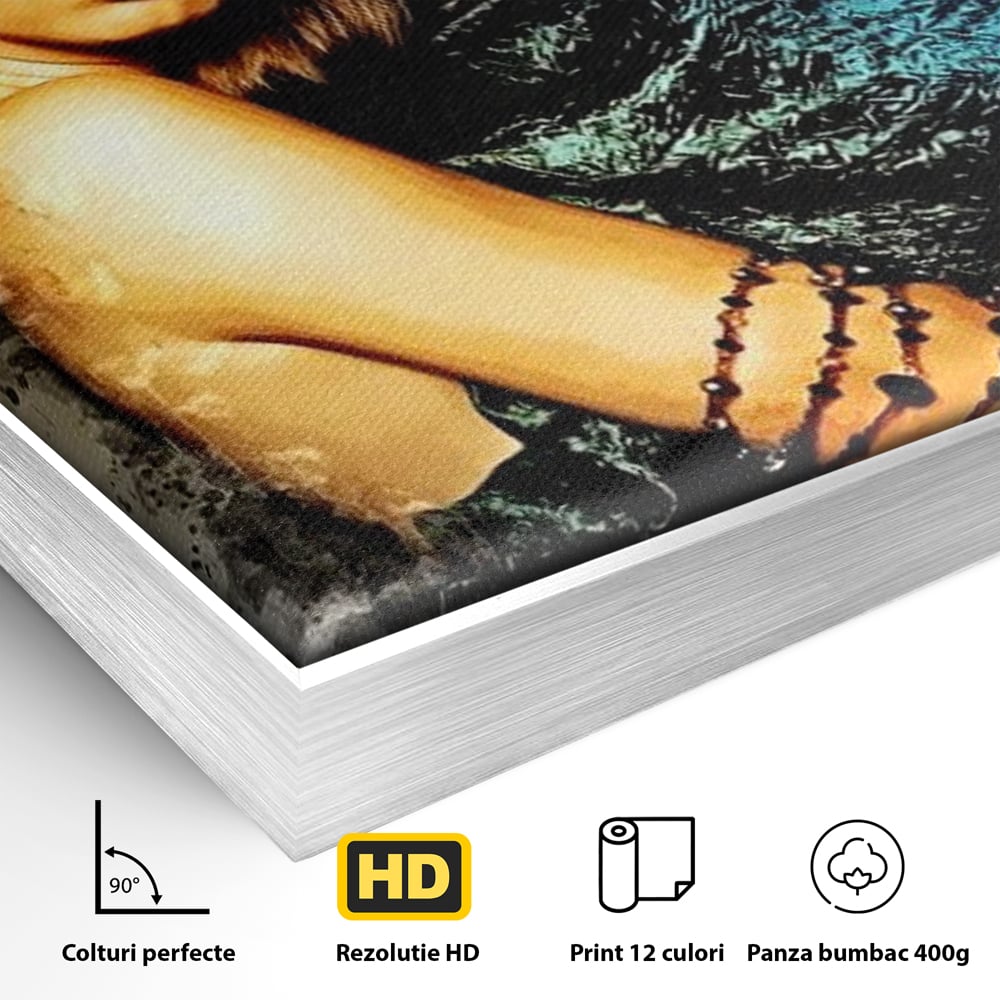 Detaliu al suprafetei: tablou canvas portret femeie misterioasa, in rama de aluminiu argintiu