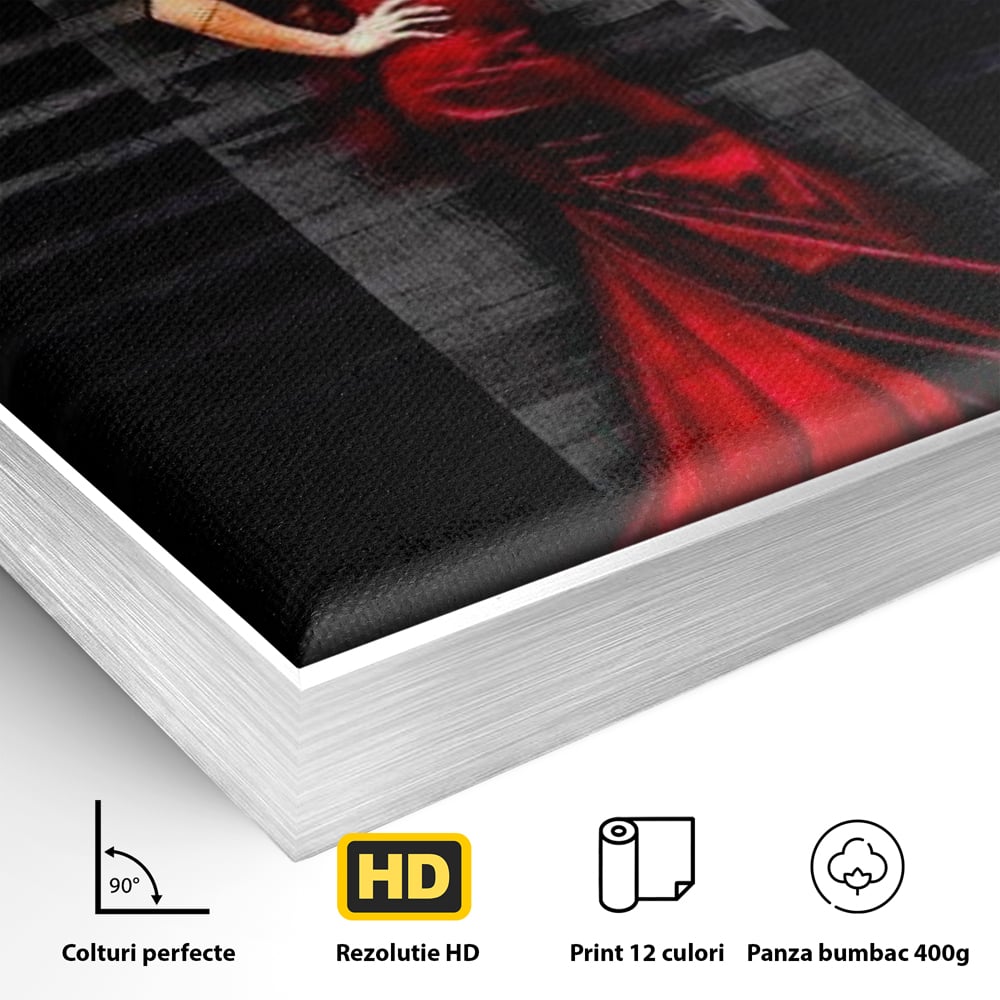 Detaliu al suprafetei: tablou canvas cu femeie in rochie rosie, in rama de aluminiu argintiu