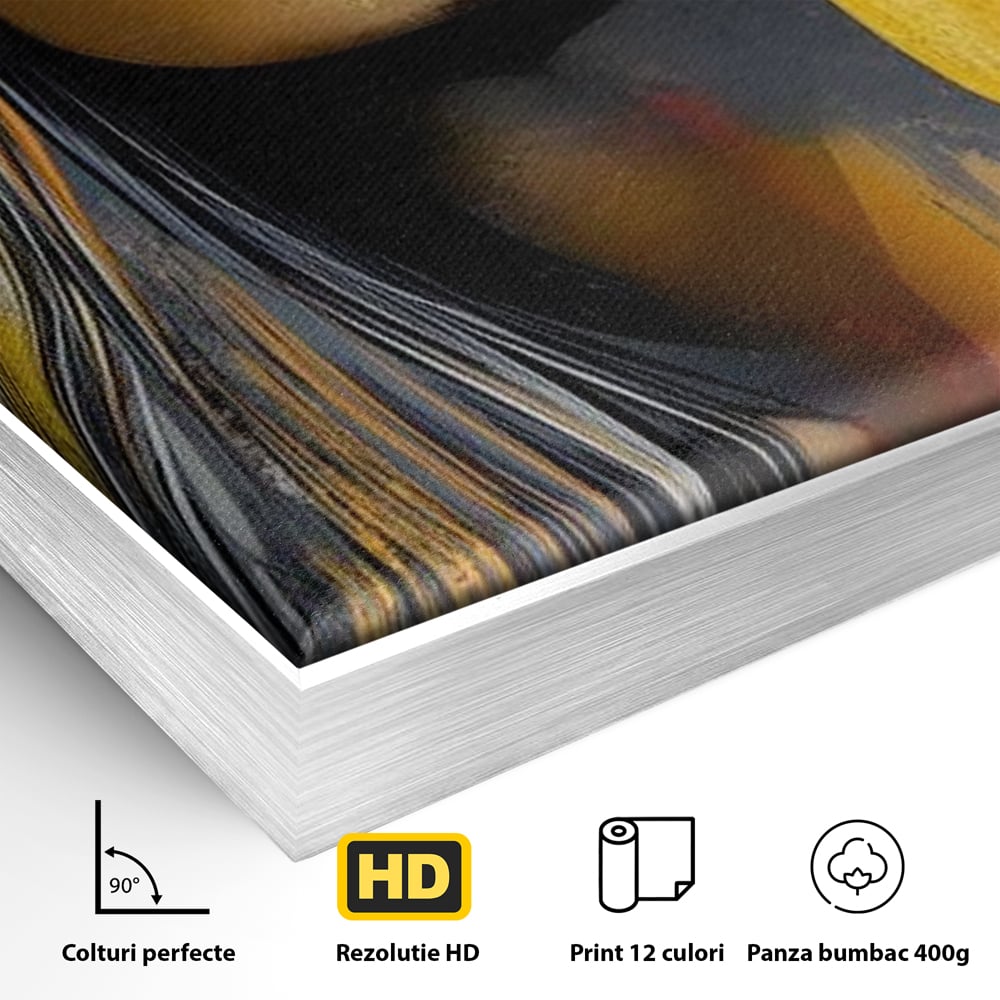 Detaliu al suprafetei: tablou canvas cu portret de femeie ochelari de soare, in rama de aluminiu argintiu
