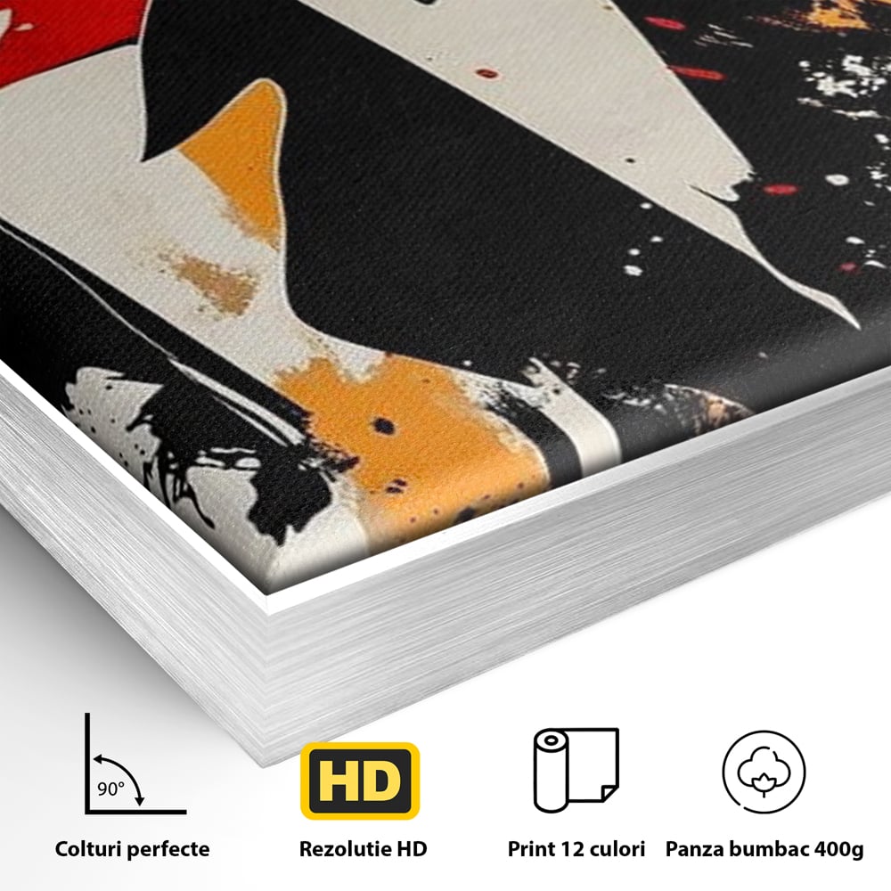 Detaliu al suprafetei: tablou canvas cu portret de femeie stilizat, in rama de aluminiu argintiu