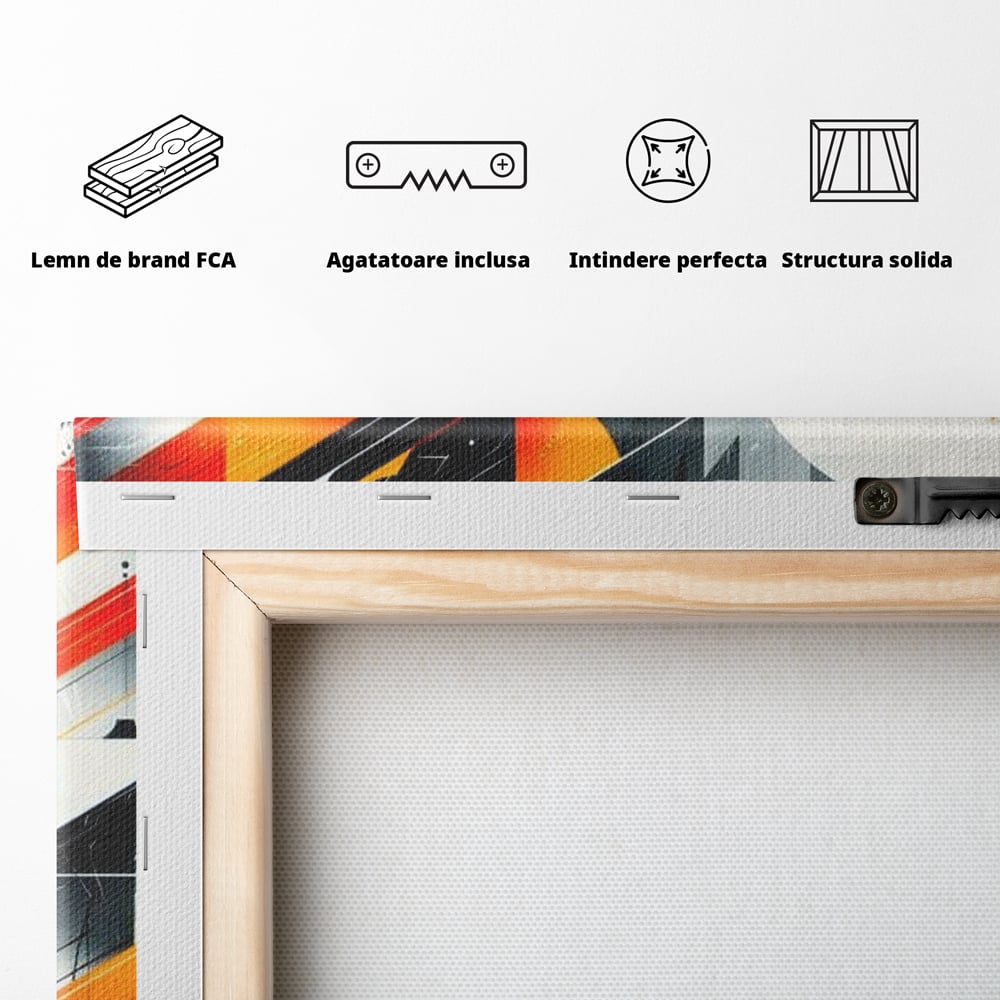 Spatele produsului, cu sasiu din lemn, capse metalice si agatatoare