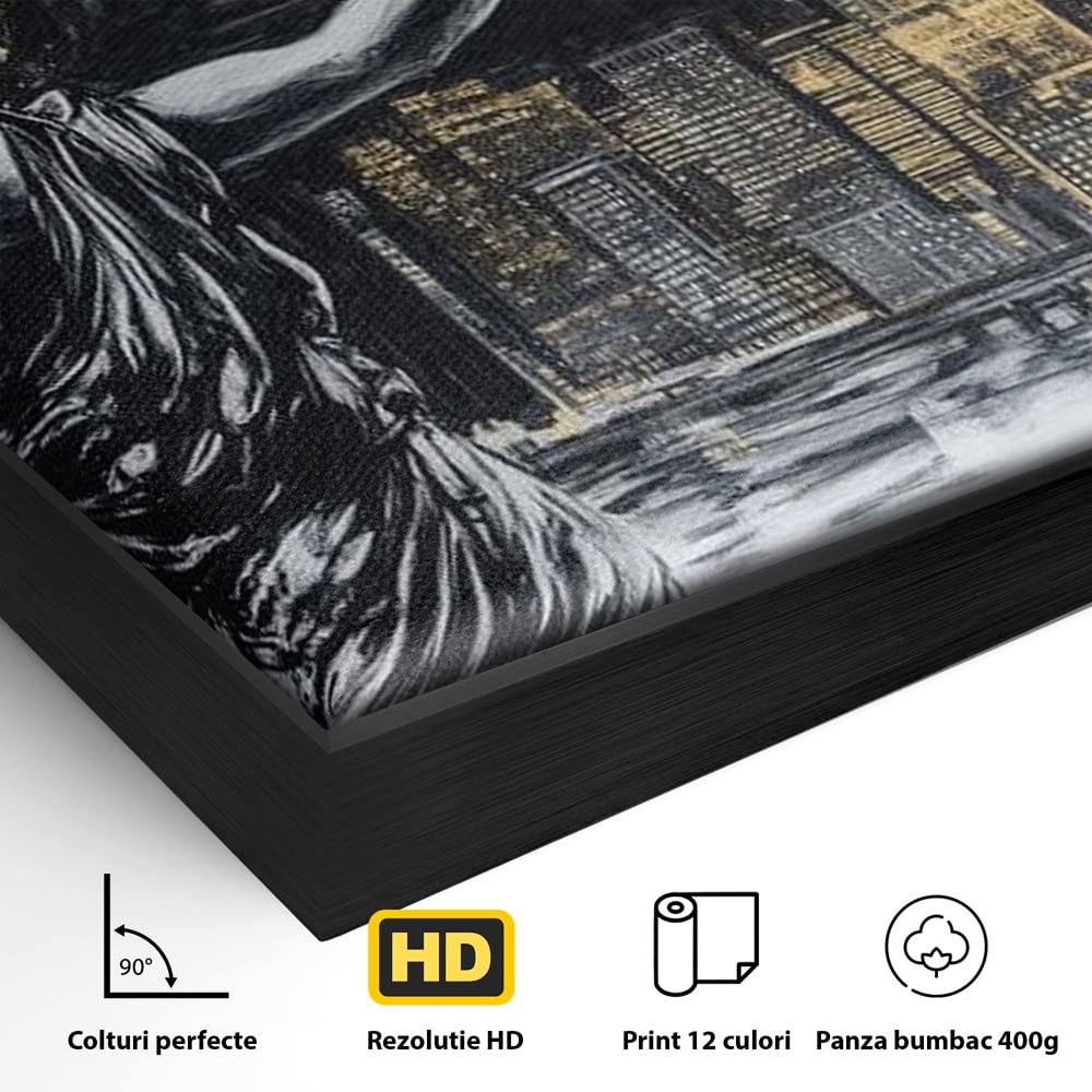 Detaliu al suprafetei: tablou canvas cu femeie si craniu, in rama de aluminiu negru