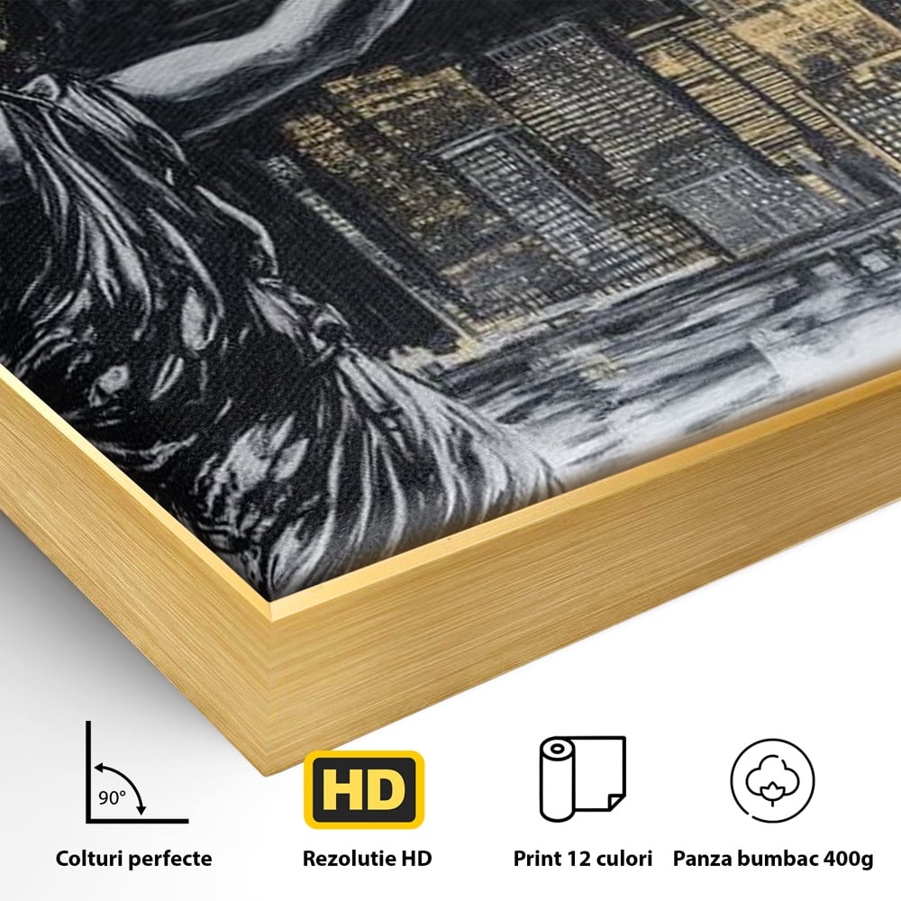 Detaliu al suprafetei: tablou canvas cu femeie si craniu, in rama de aluminiu auriu