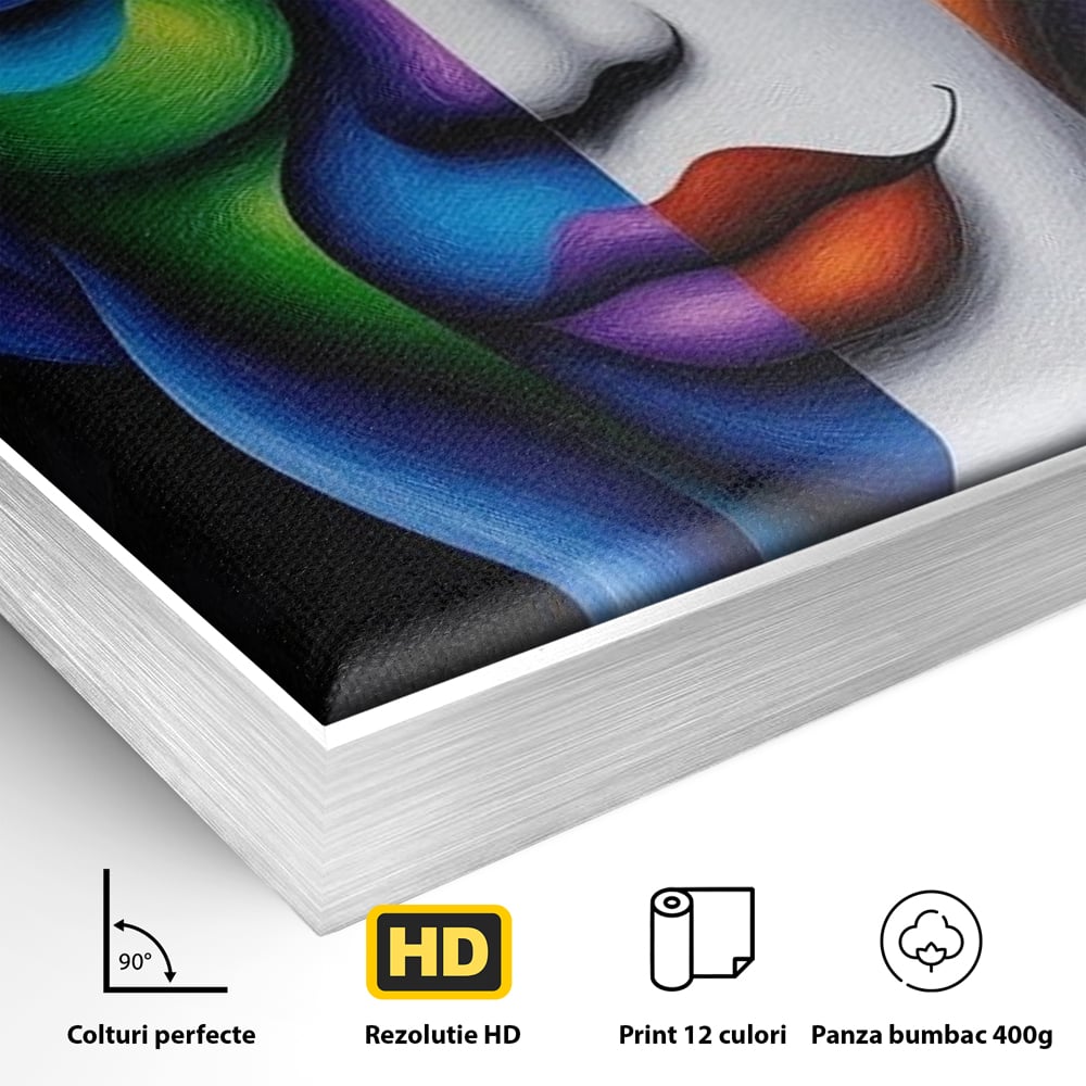 Detaliu al suprafetei: portret abstract feminin bicolor, in rama de aluminiu argintiu