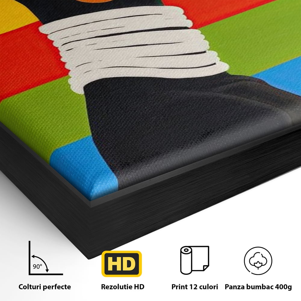 Detaliu al suprafetei: tablou canvas cu profil de femeie afro si curcubeu, in rama de aluminiu negru