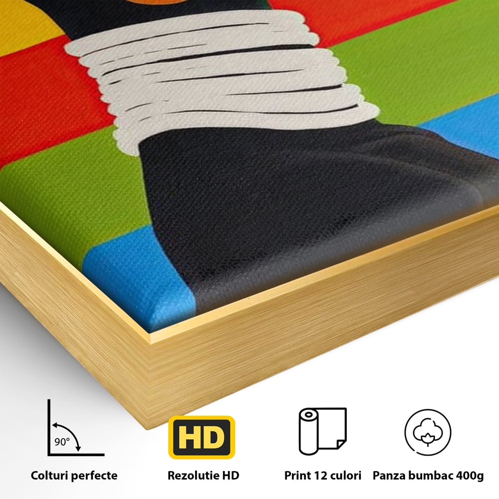 Detaliu al suprafetei: tablou canvas cu profil de femeie afro si curcubeu, in rama de aluminiu auriu