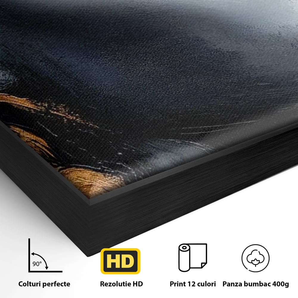 Detaliu al suprafetei: tablou canvas cu profil de femeie, in rama de aluminiu negru