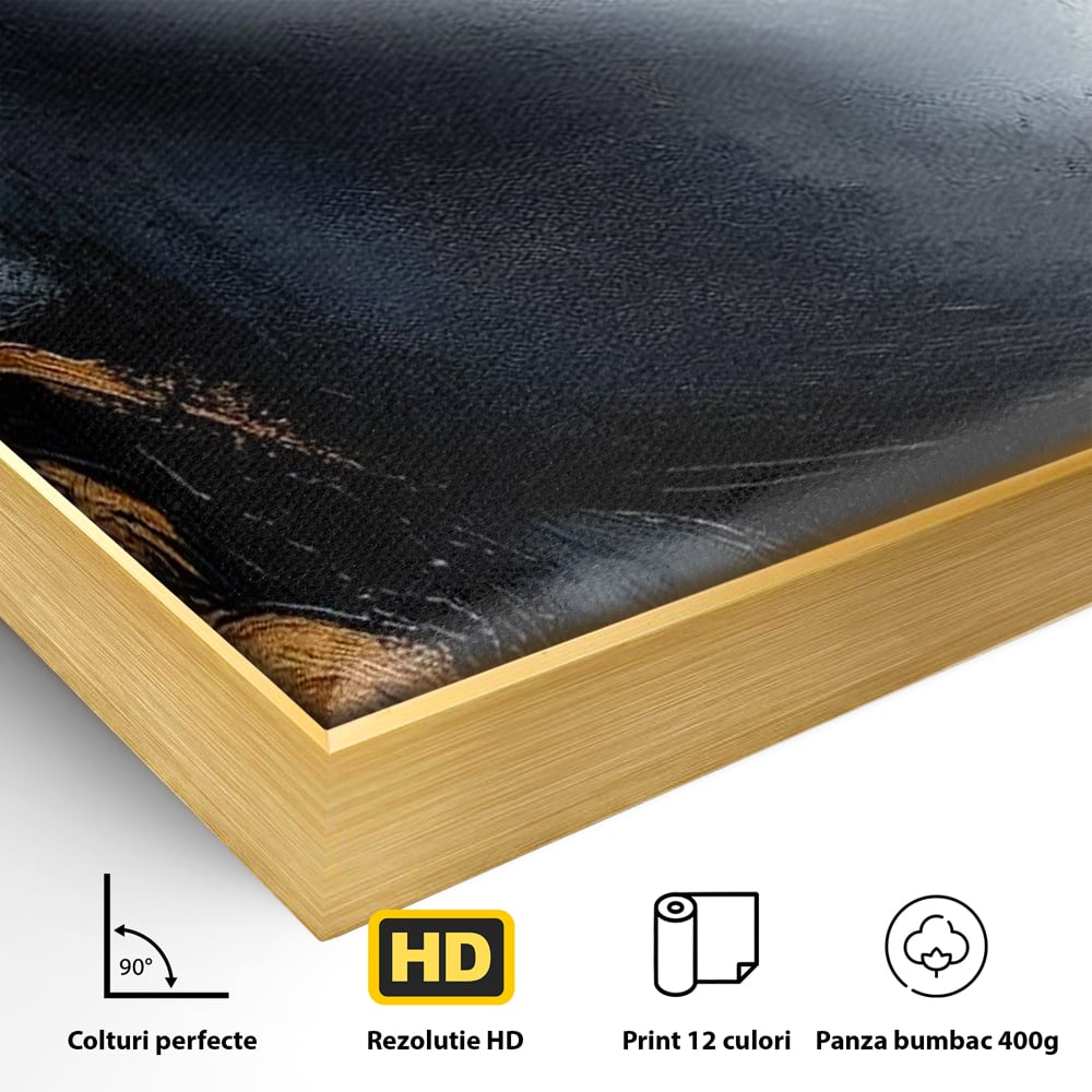 Detaliu al suprafetei: tablou canvas cu profil de femeie, in rama de aluminiu auriu
