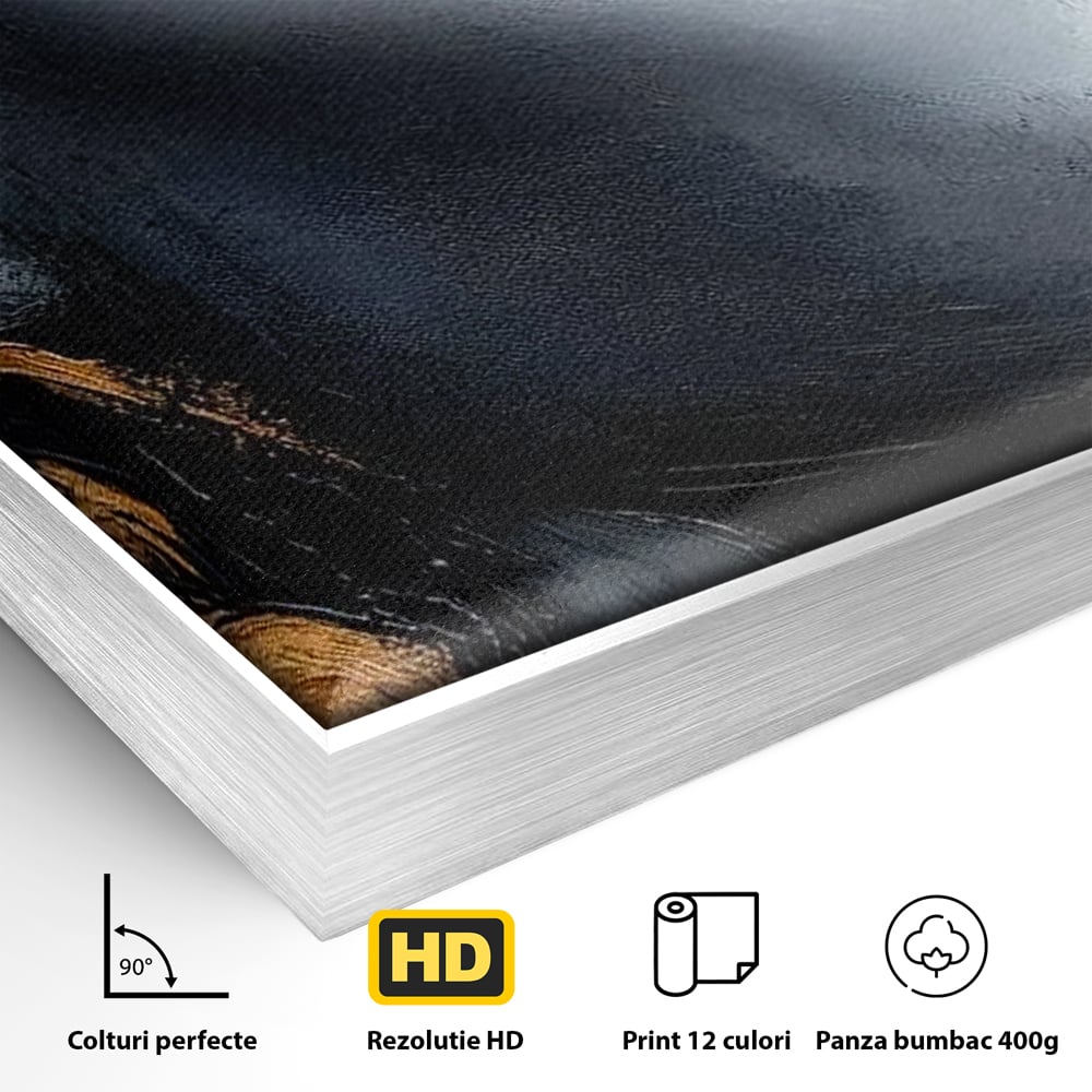 Detaliu al suprafetei: tablou canvas cu profil de femeie, in rama de aluminiu argintiu