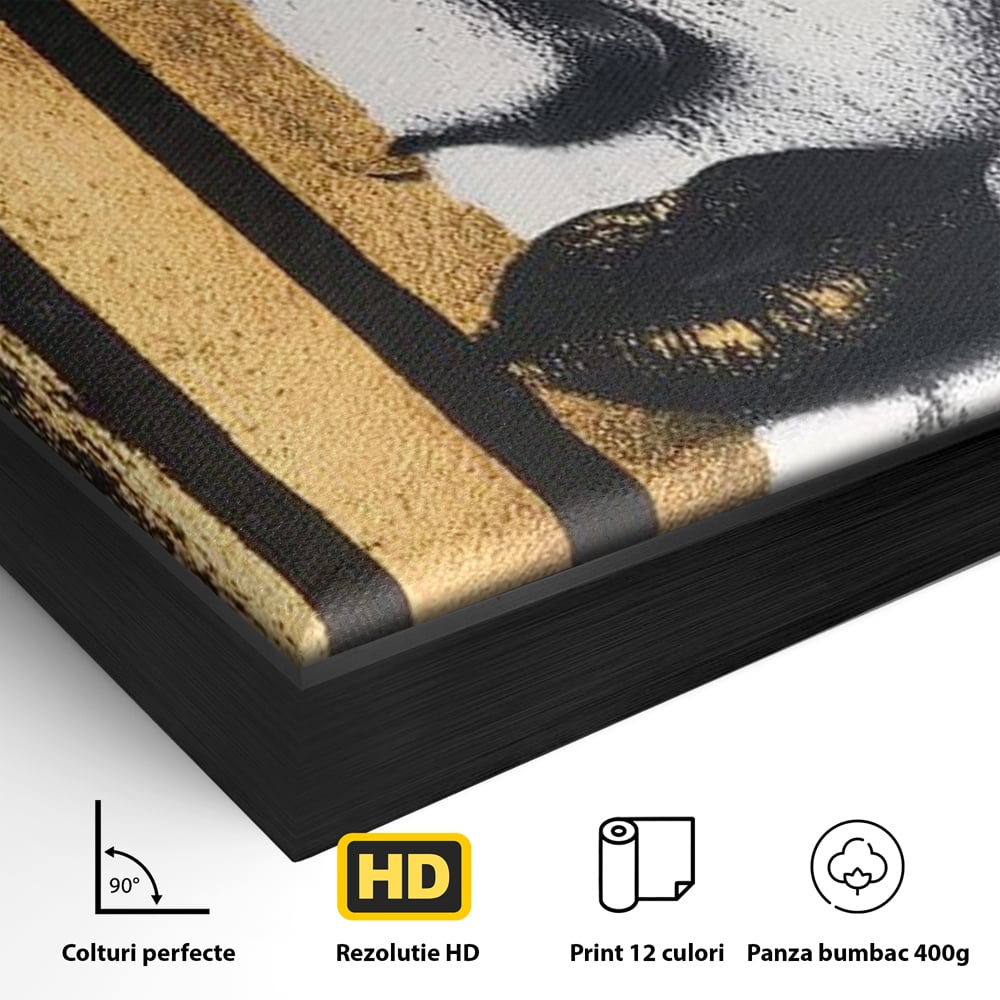 Detaliu al suprafetei: tablou canvas cu portret feminin si foita de aur, in rama de aluminiu negru