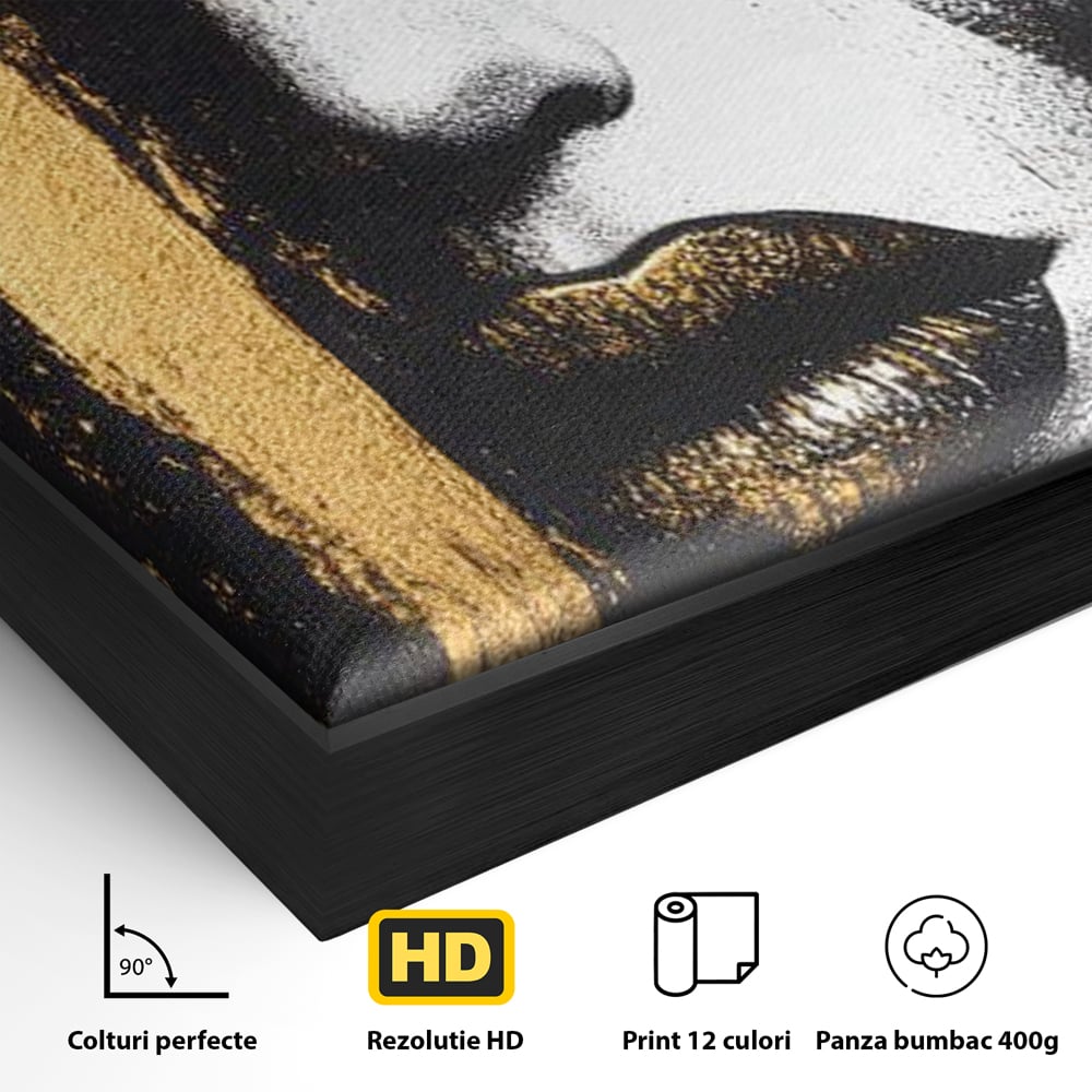 Detaliu al suprafetei: tablou canvas cu chip de femeie, in rama de aluminiu negru