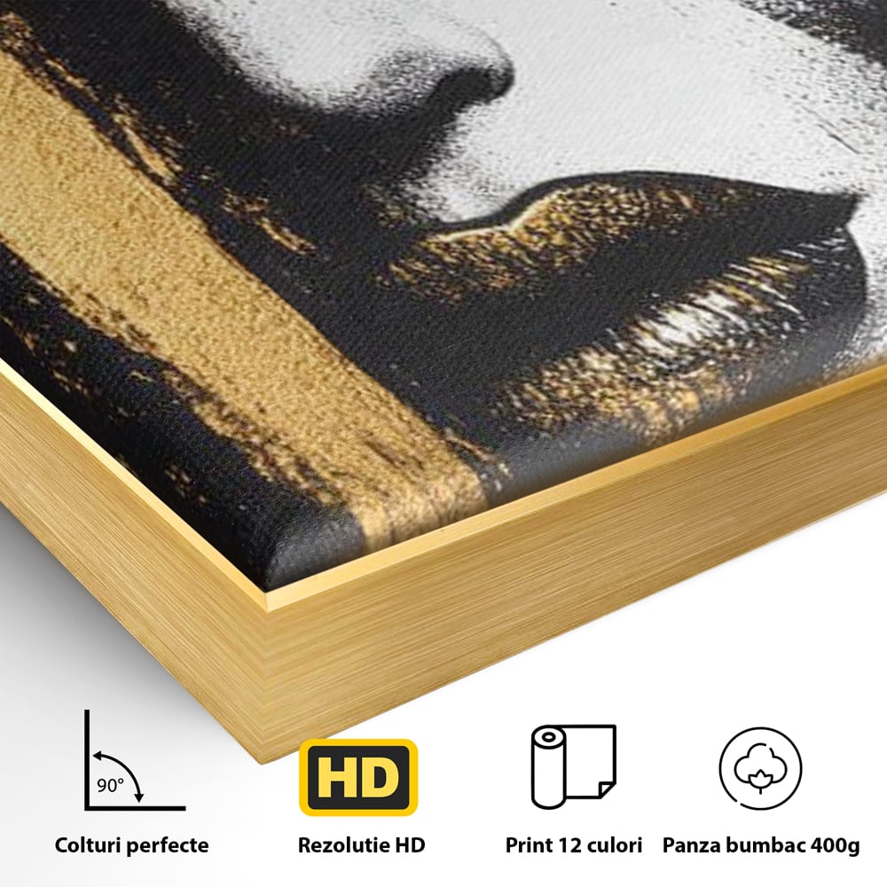 Detaliu al suprafetei: tablou canvas cu chip de femeie, in rama de aluminiu auriu