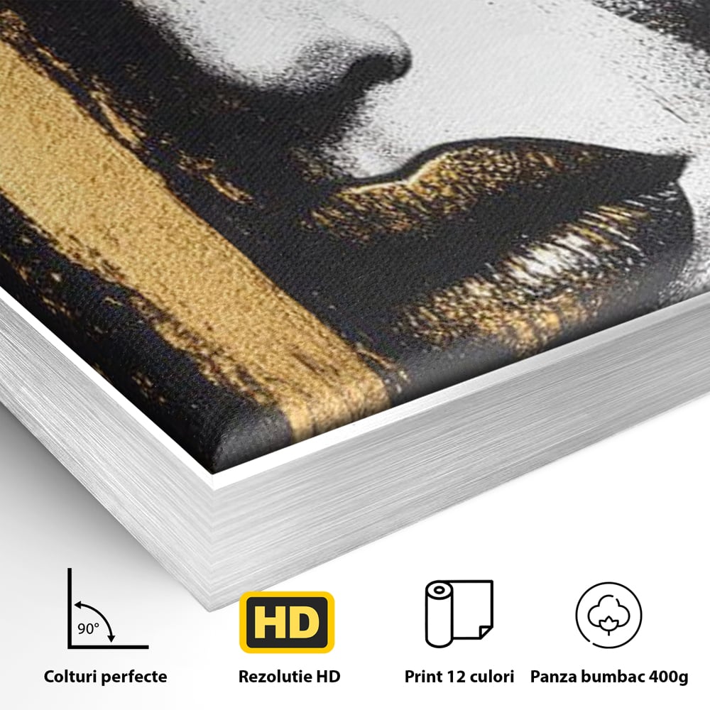 Detaliu al suprafetei: tablou canvas cu chip de femeie, in rama de aluminiu argintiu