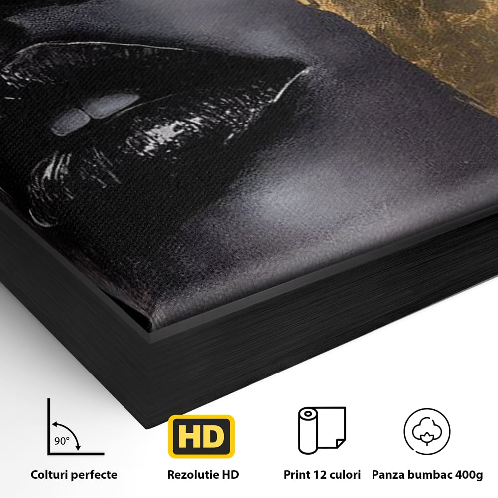 Detaliu al suprafetei: tablou canvas cu chip de femeie, in rama de aluminiu negru