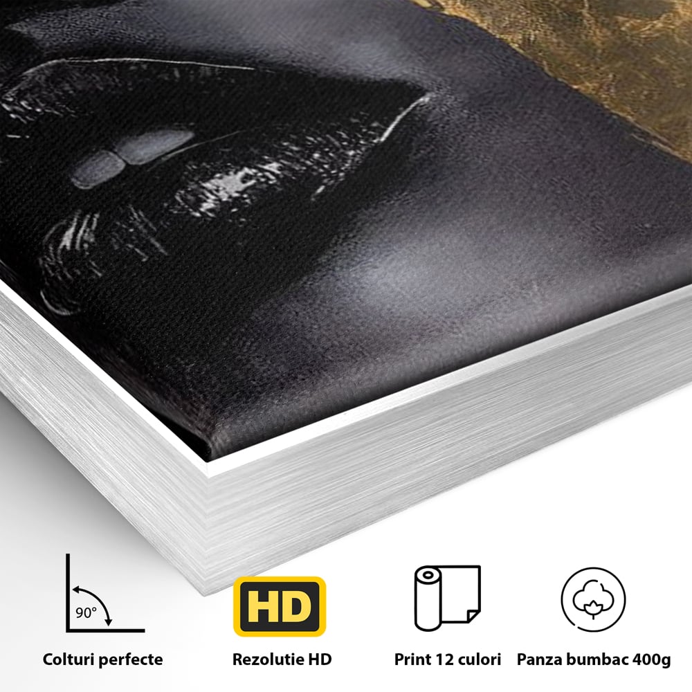 Detaliu al suprafetei: tablou canvas cu chip de femeie, in rama de aluminiu argintiu