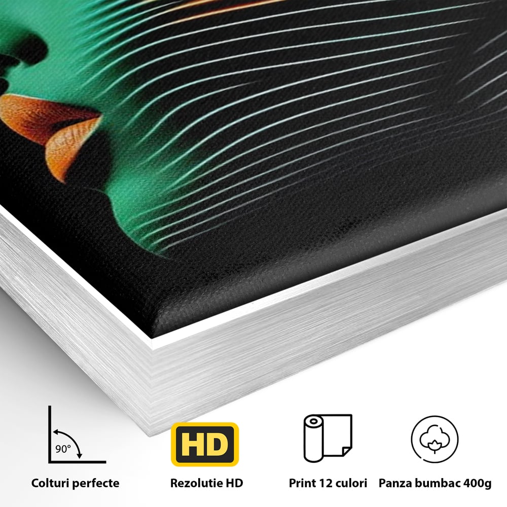 Detaliu al suprafetei: tablou canvas portret de femeie in profil cu raze verzi, in rama de aluminiu argintiu