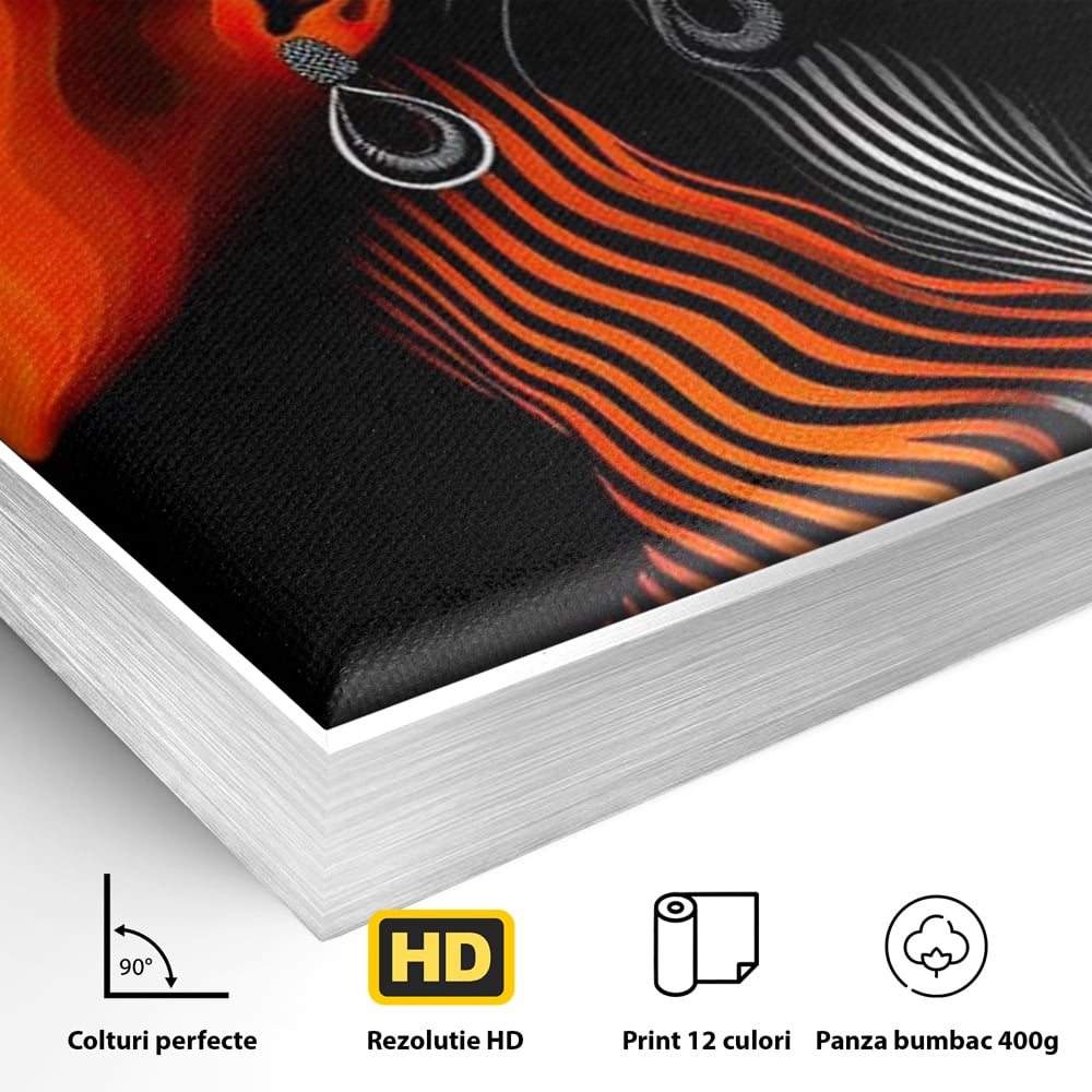 Detaliu al suprafetei: tablou canvas cu doua fete stilizate, in rama de aluminiu argintiu