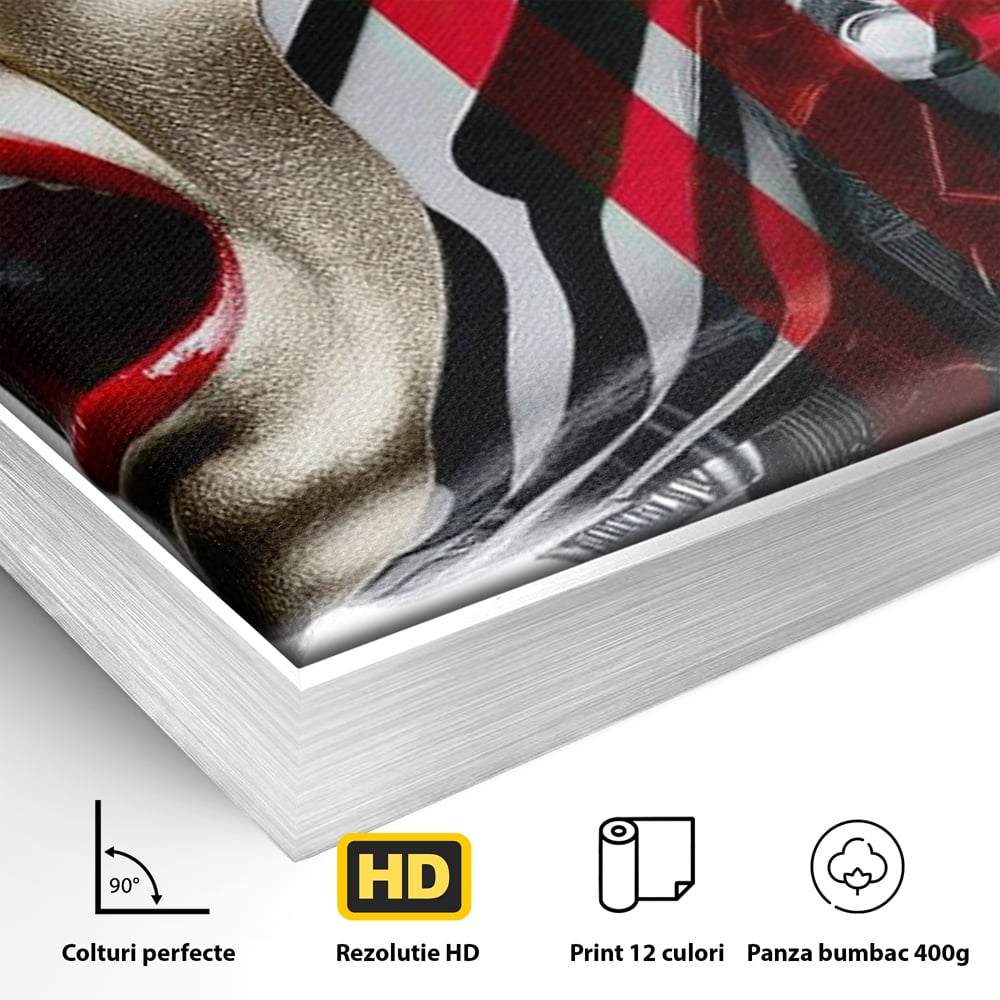 Detaliu al suprafetei: tablou canvas cu femeie futurista urland, in rama de aluminiu argintiu