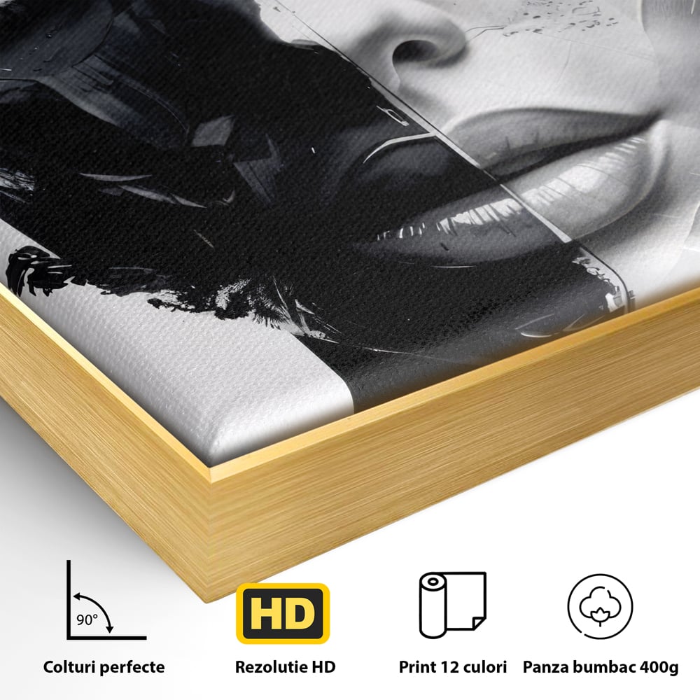 Detaliu al suprafetei: tablou canvas cu chip de femeie in doua nuante, in rama de aluminiu auriu