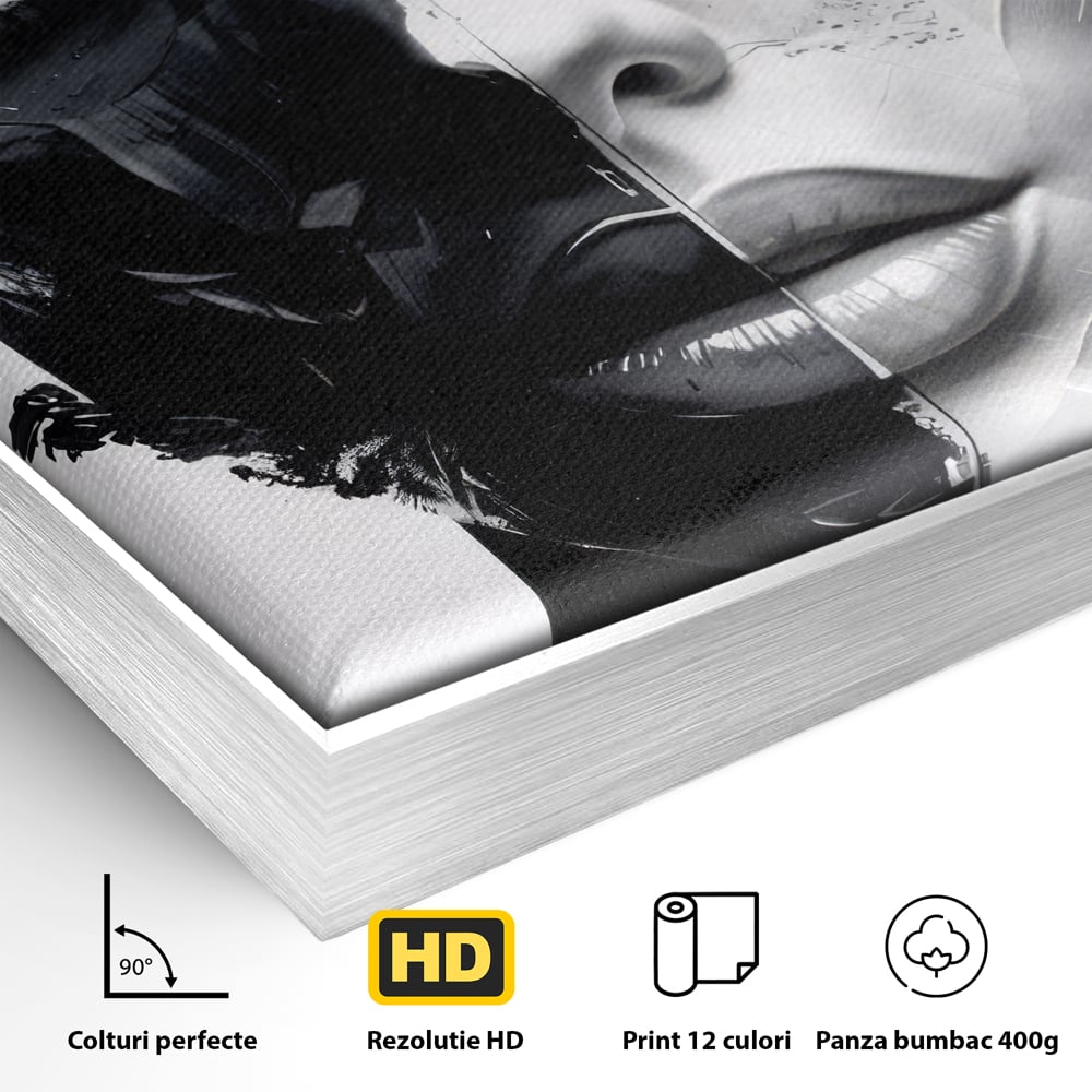 Detaliu al suprafetei: tablou canvas cu chip de femeie in doua nuante, in rama de aluminiu argintiu