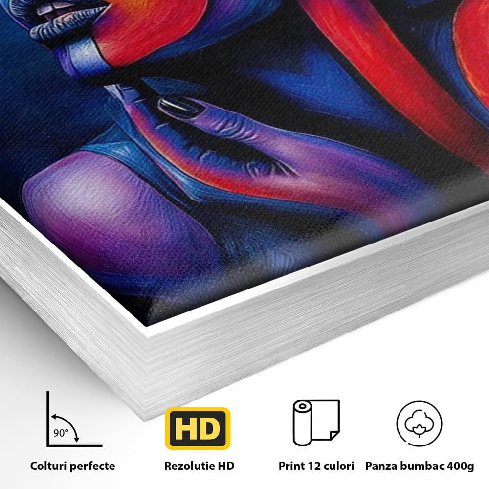 Detaliu al suprafetei: tablou canvas cu chip de femeie colorat, in rama de aluminiu argintiu