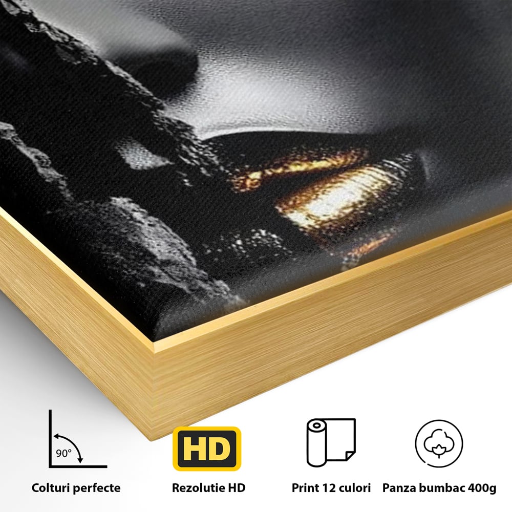 Detaliu al suprafetei: tablou canvas cu o femeie, in rama de aluminiu auriu