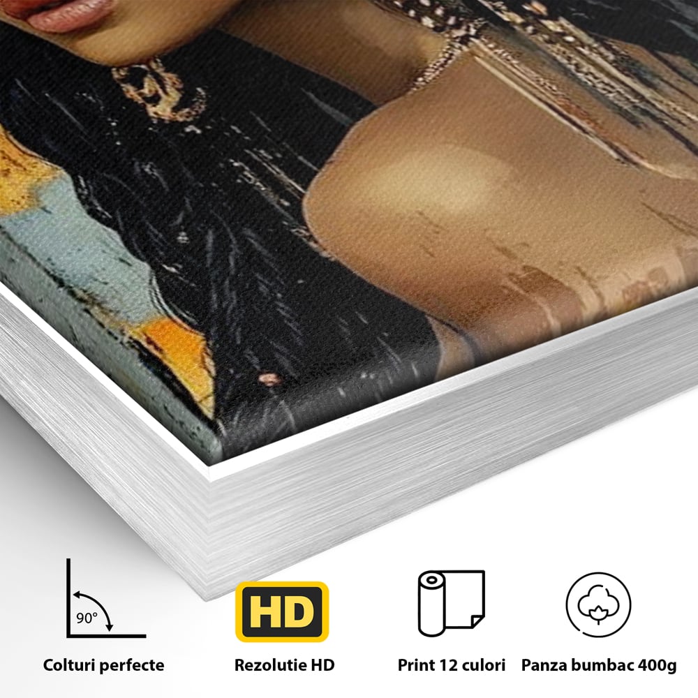 Detaliu al suprafetei: tablou canvas cu femeie si flori in par, in rama de aluminiu argintiu
