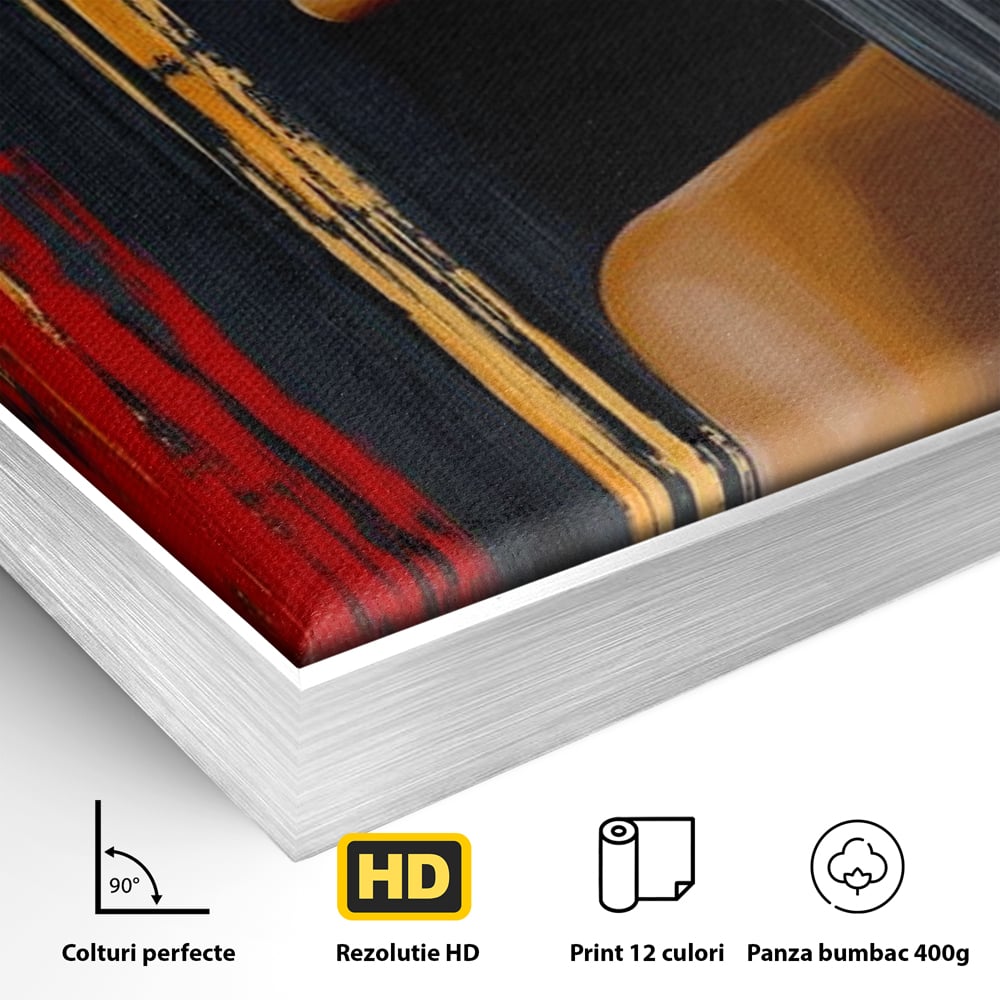 Detaliu al suprafetei: tablou canvas cu ilustratia unei femei, in rama de aluminiu argintiu