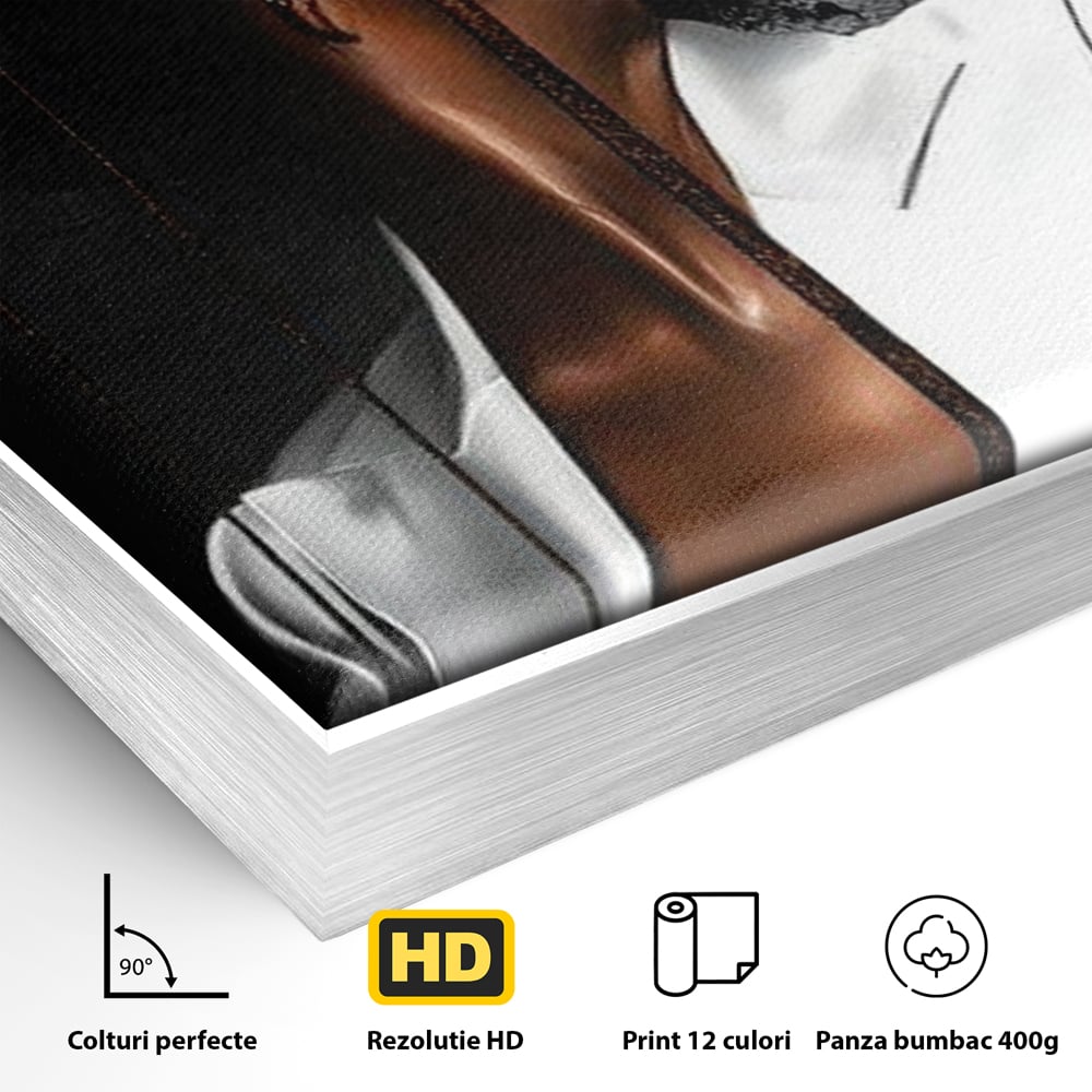 Detaliu al suprafetei: tablou canvas cu portret feminin stilizat, in rama de aluminiu argintiu