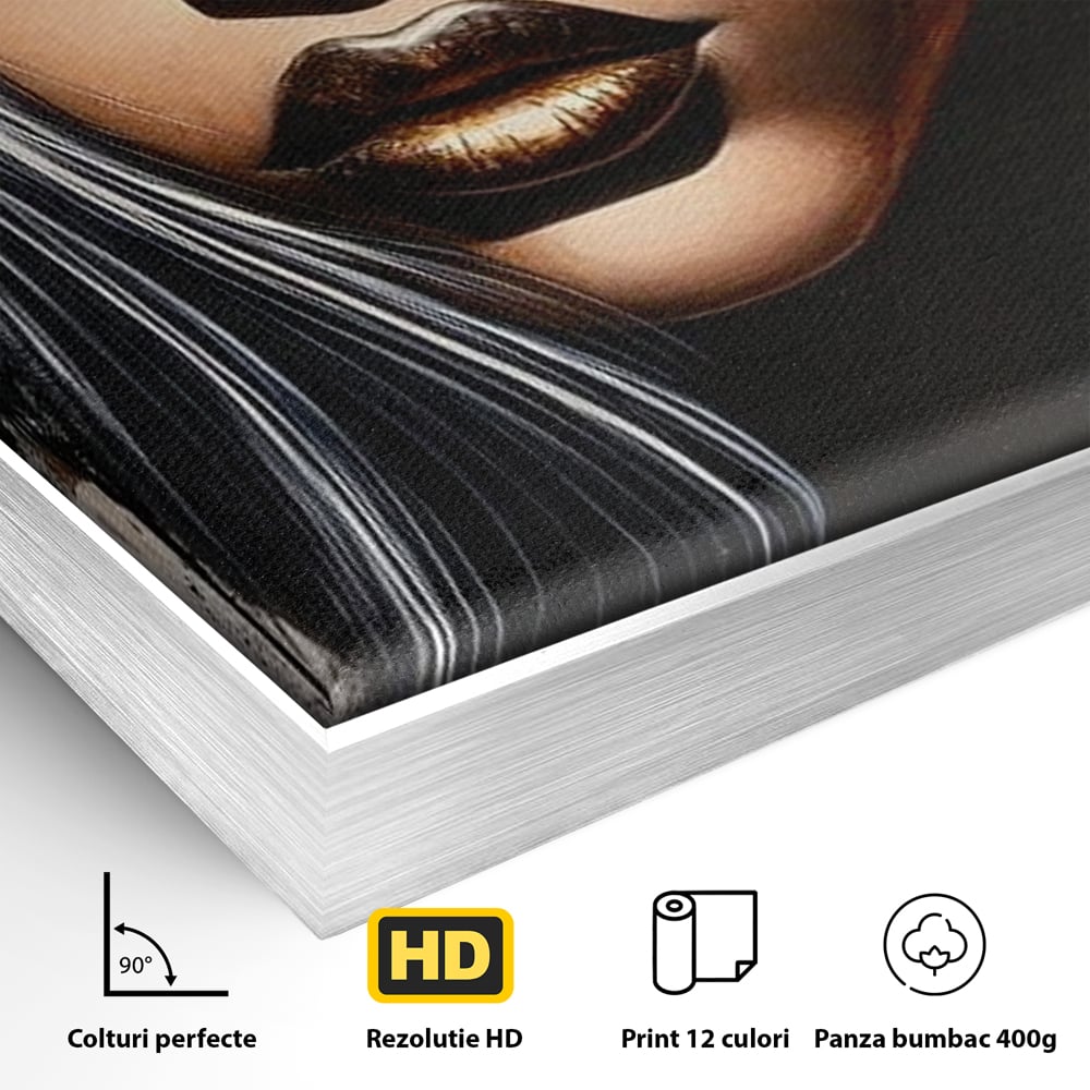 Detaliu al suprafetei: tablou canvas cu femeie si coroana aurie, in rama de aluminiu argintiu