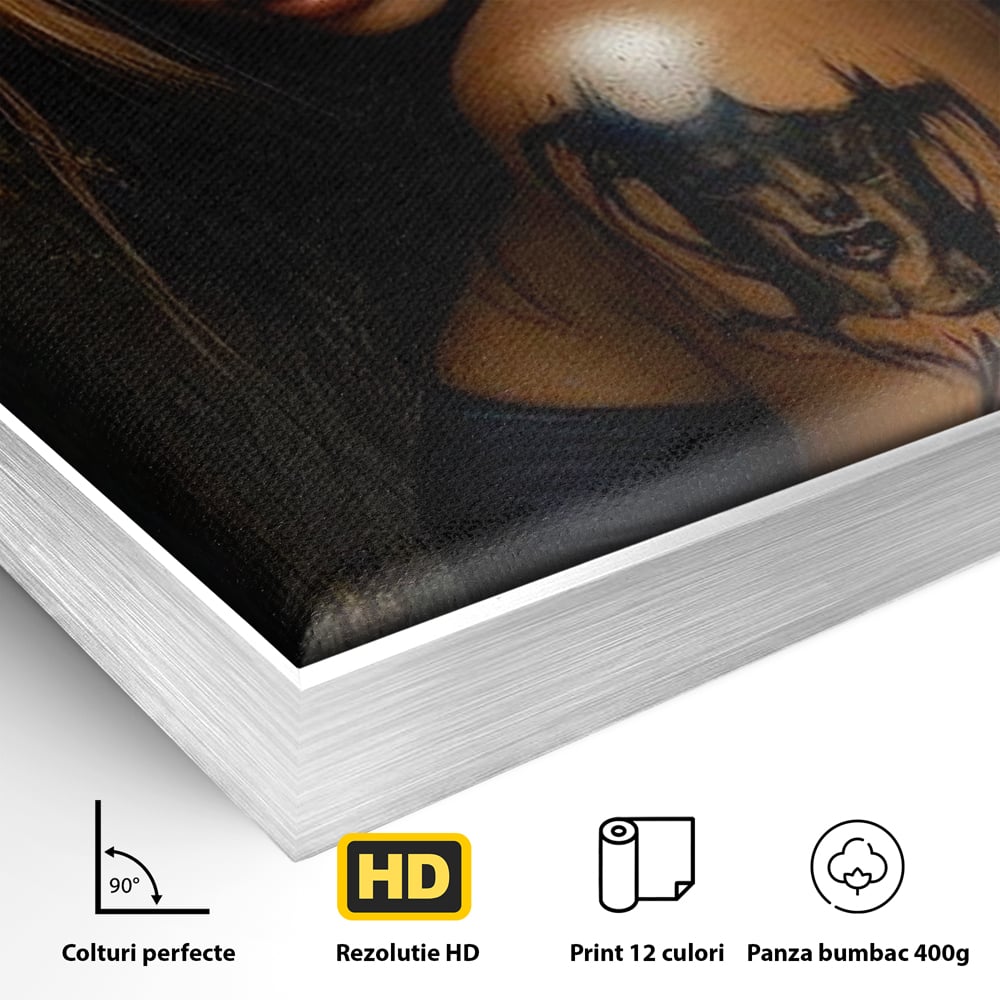 Detaliu al suprafetei: tablou canvas cu portret de femeie demon, in rama de aluminiu argintiu